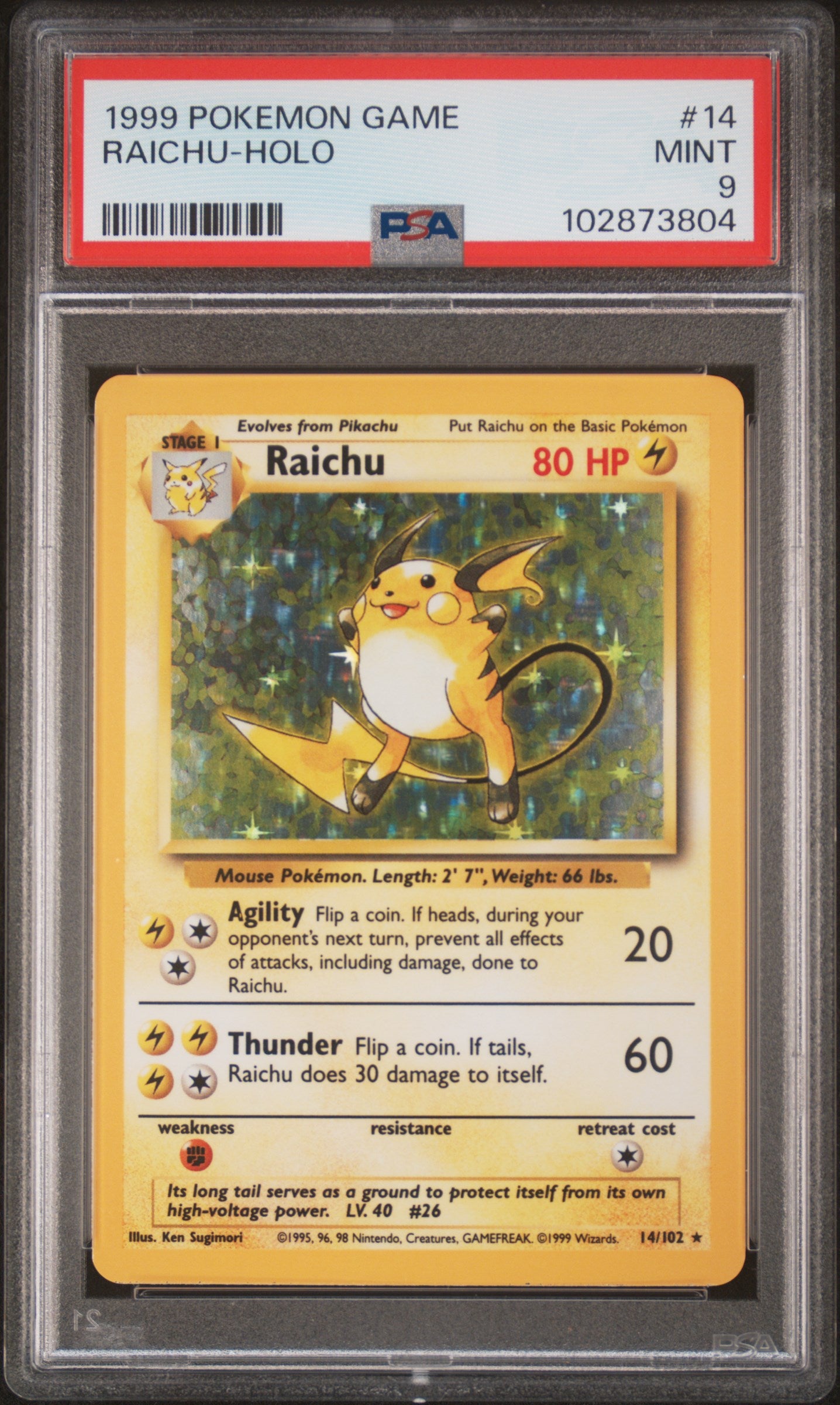 RAICHU-HOLO