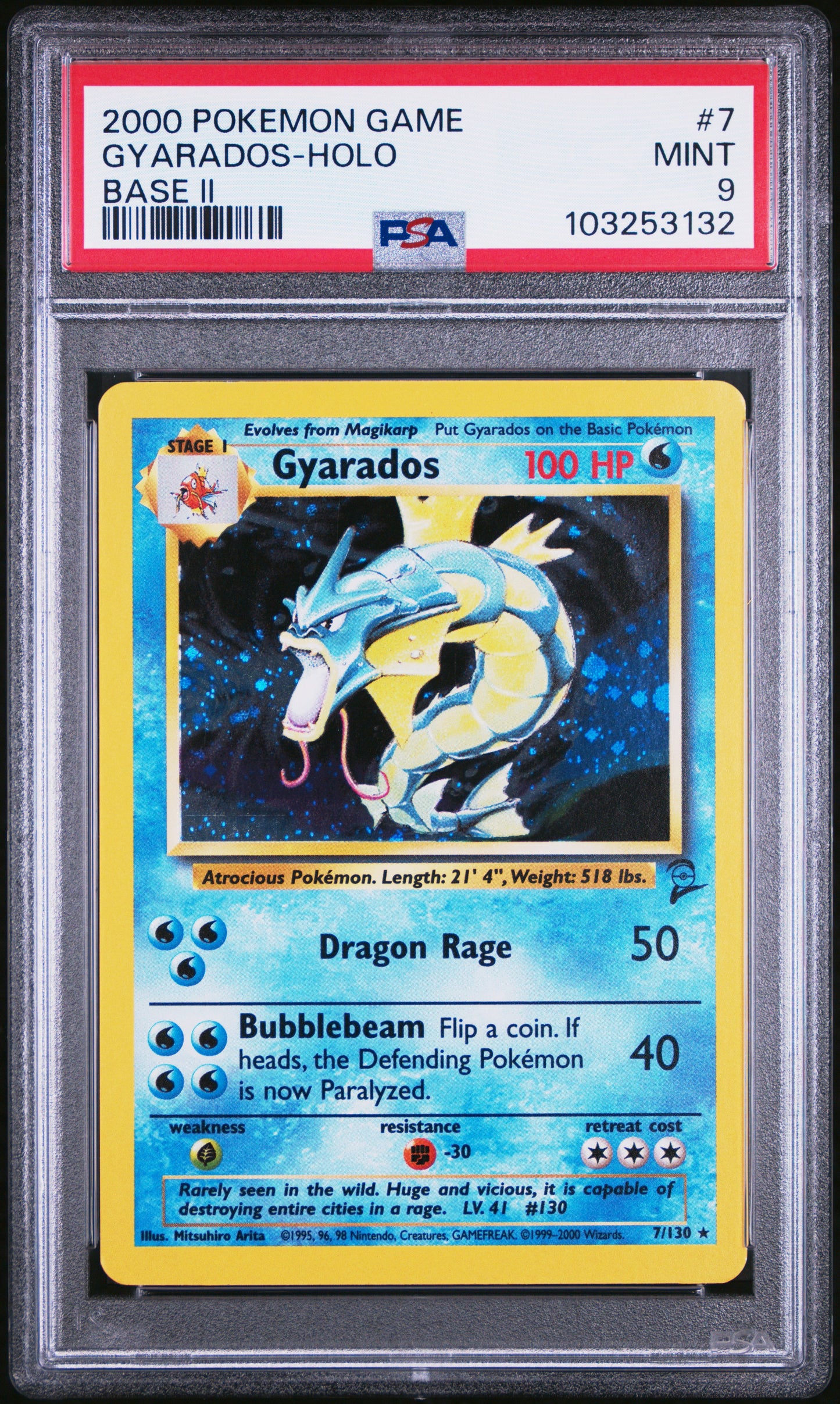 GYARADOS-HOLO