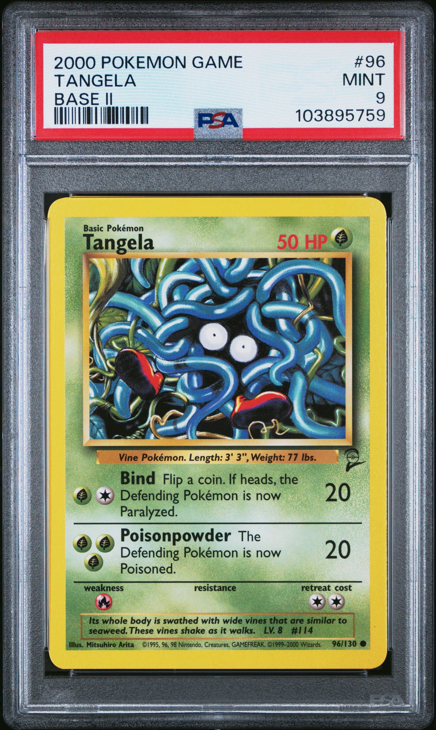 TANGELA
