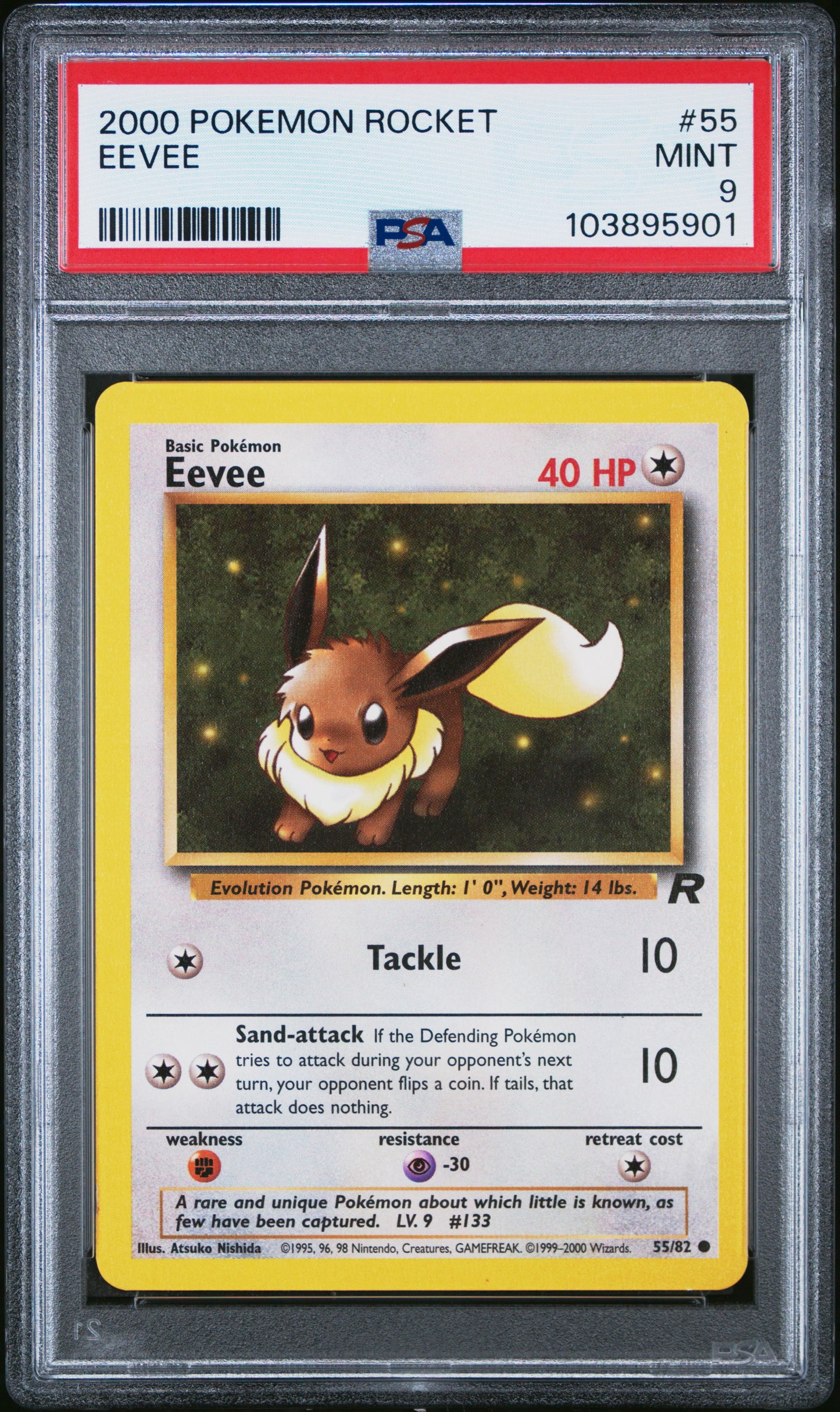 EEVEE