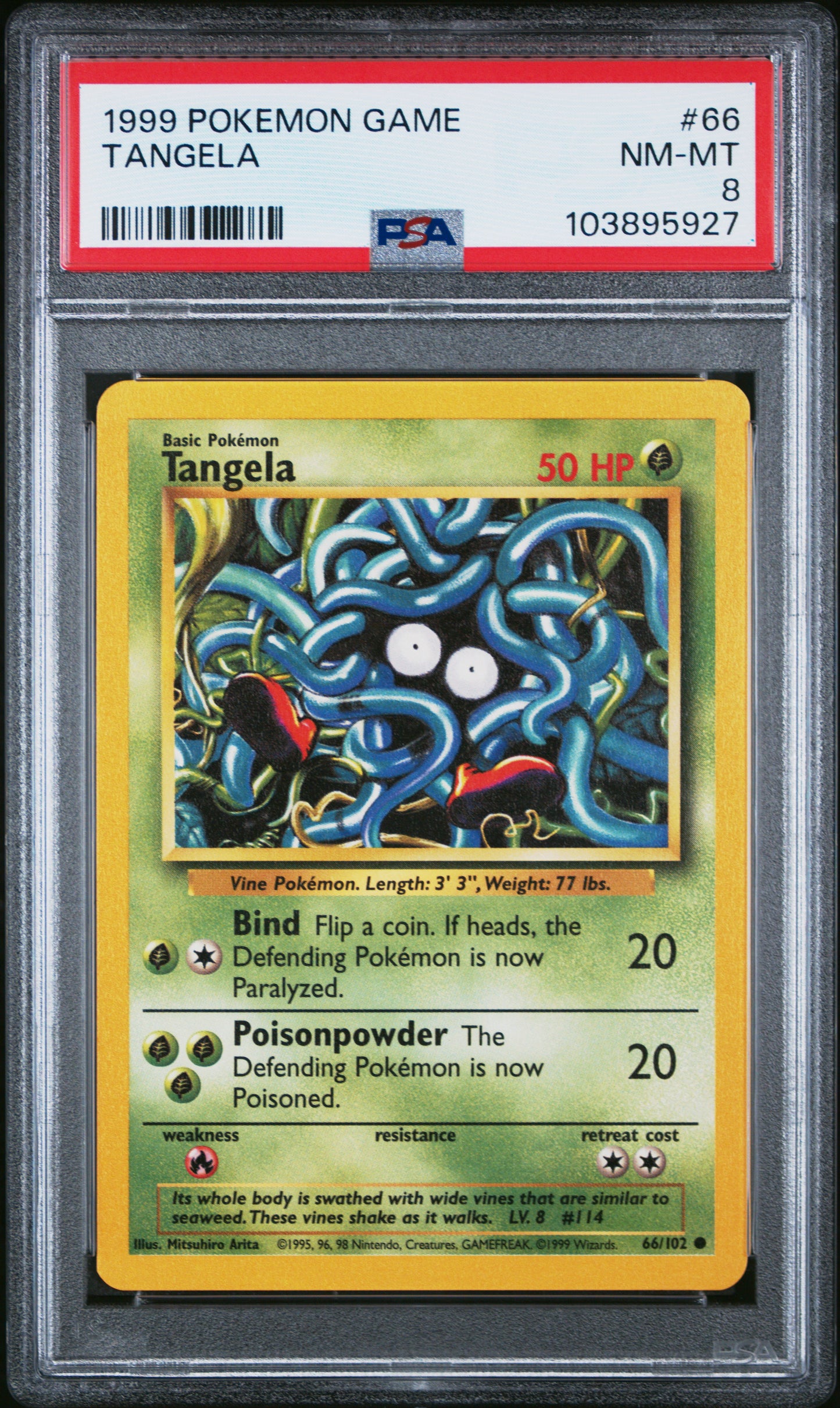 TANGELA