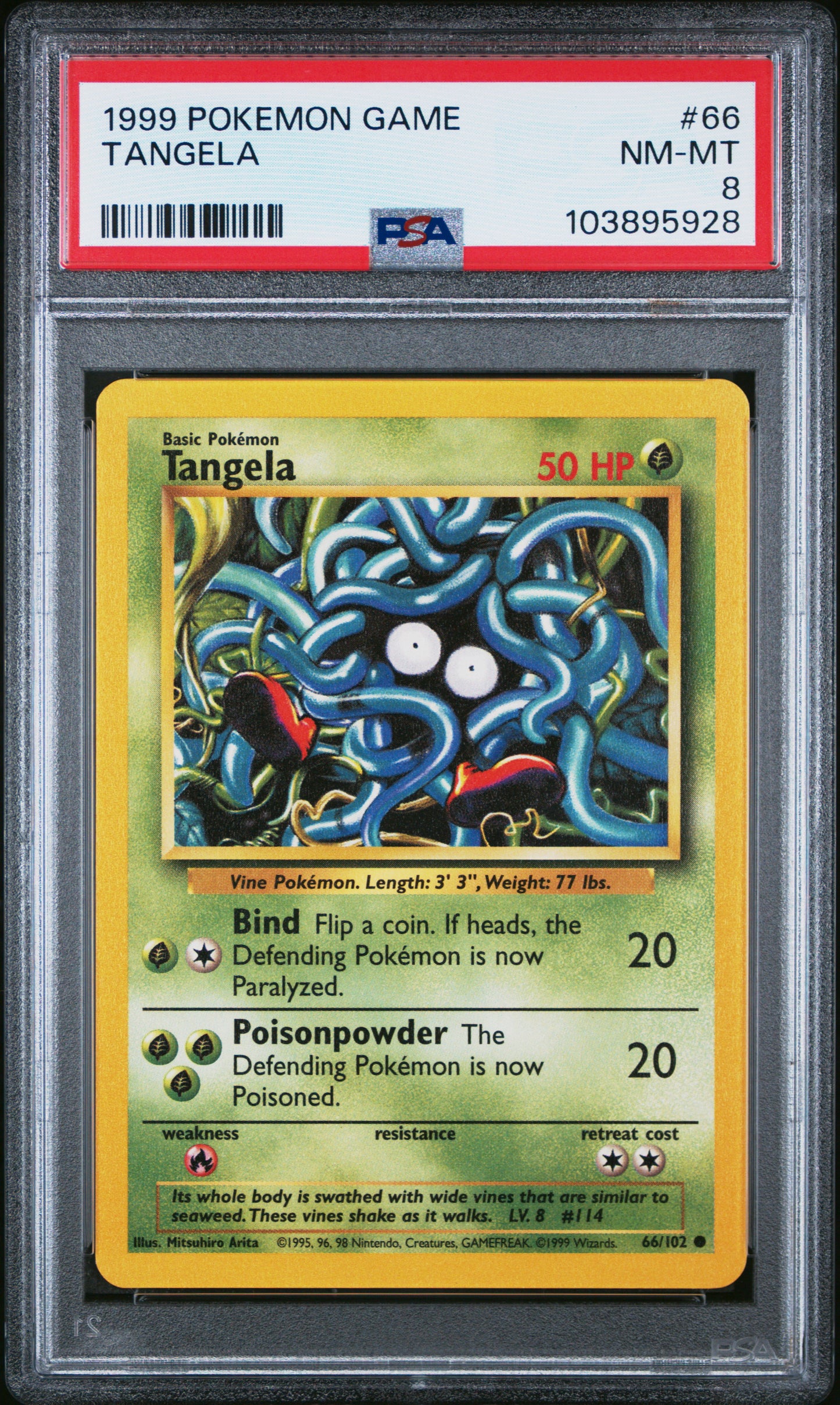 TANGELA