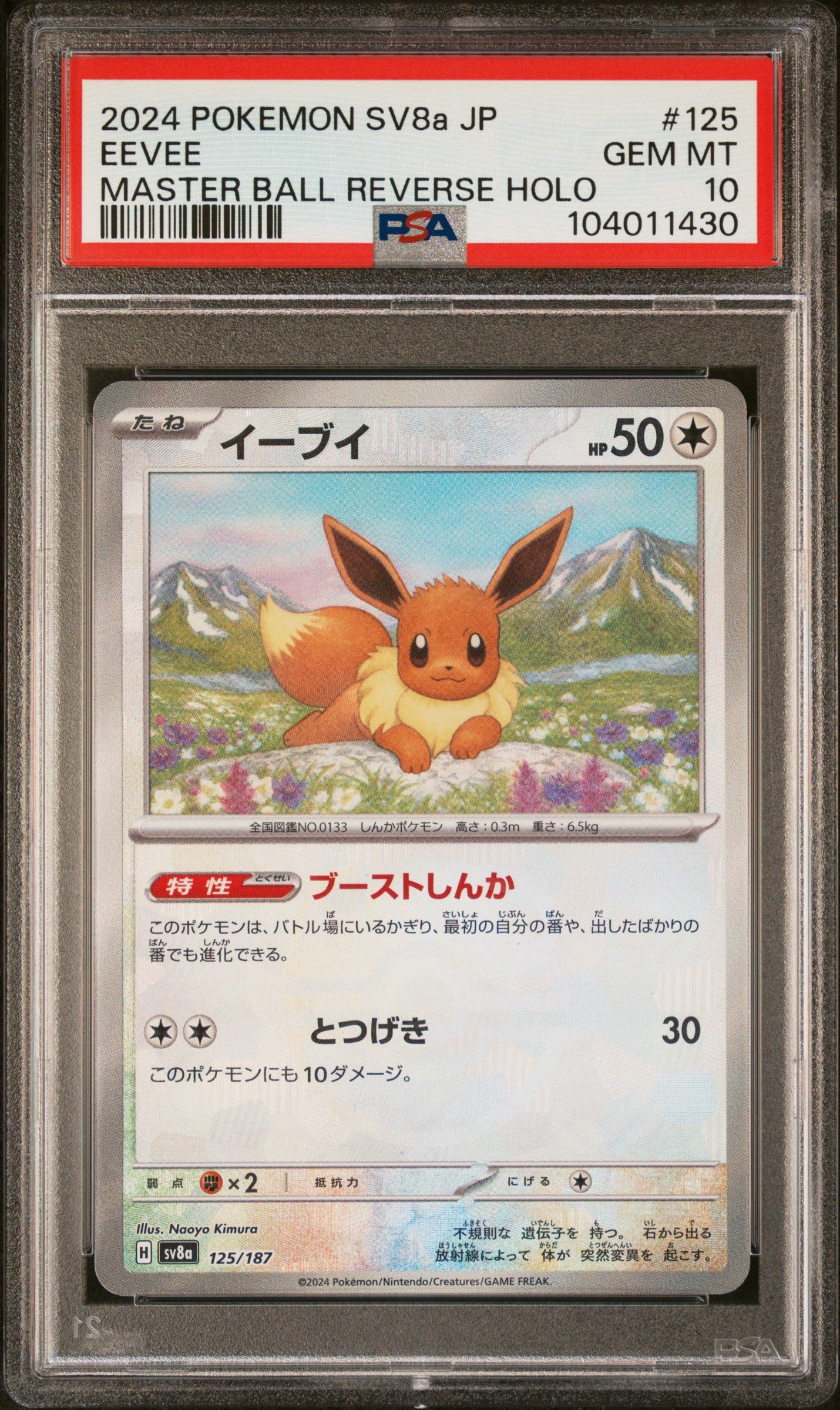 EEVEE