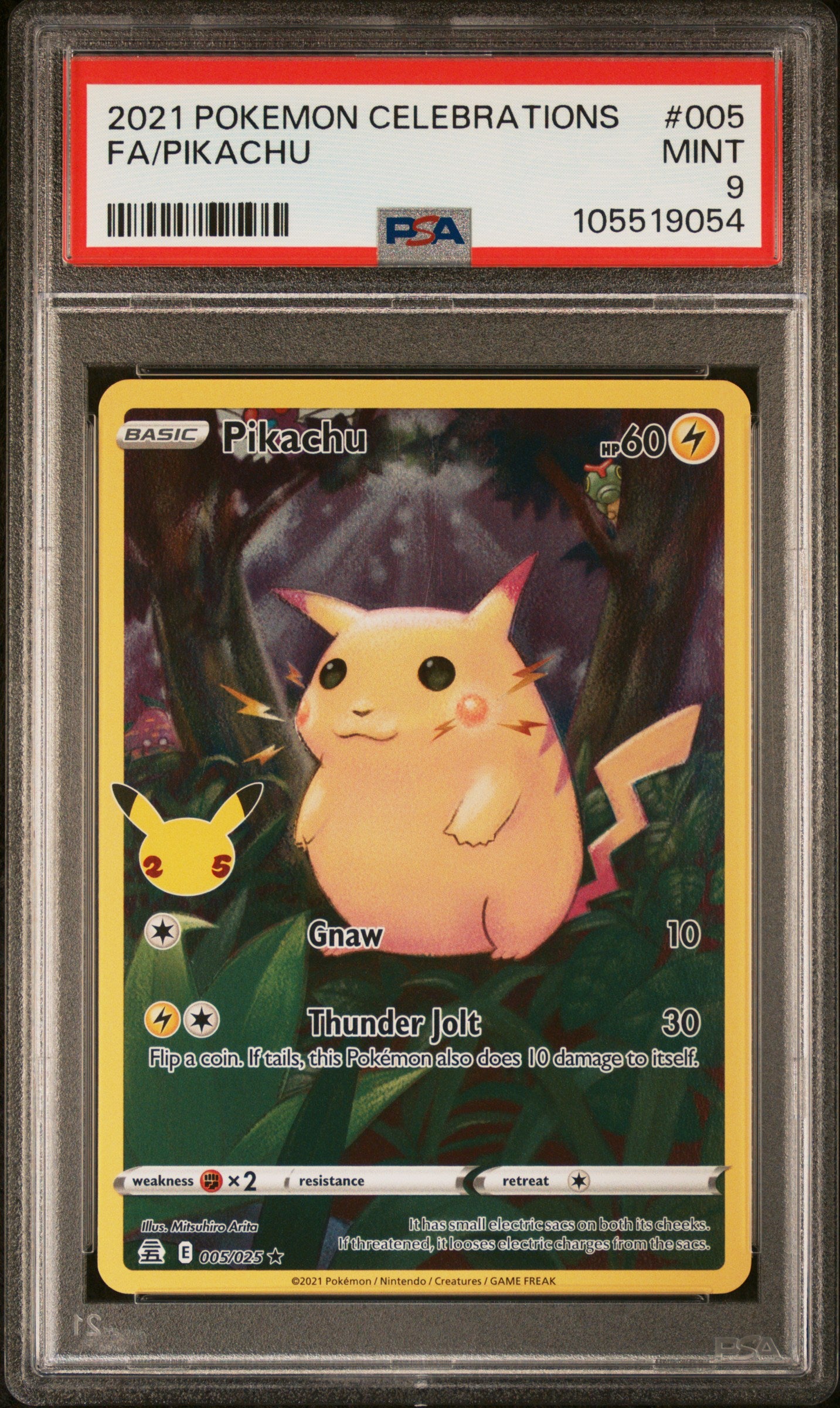 FA/PIKACHU