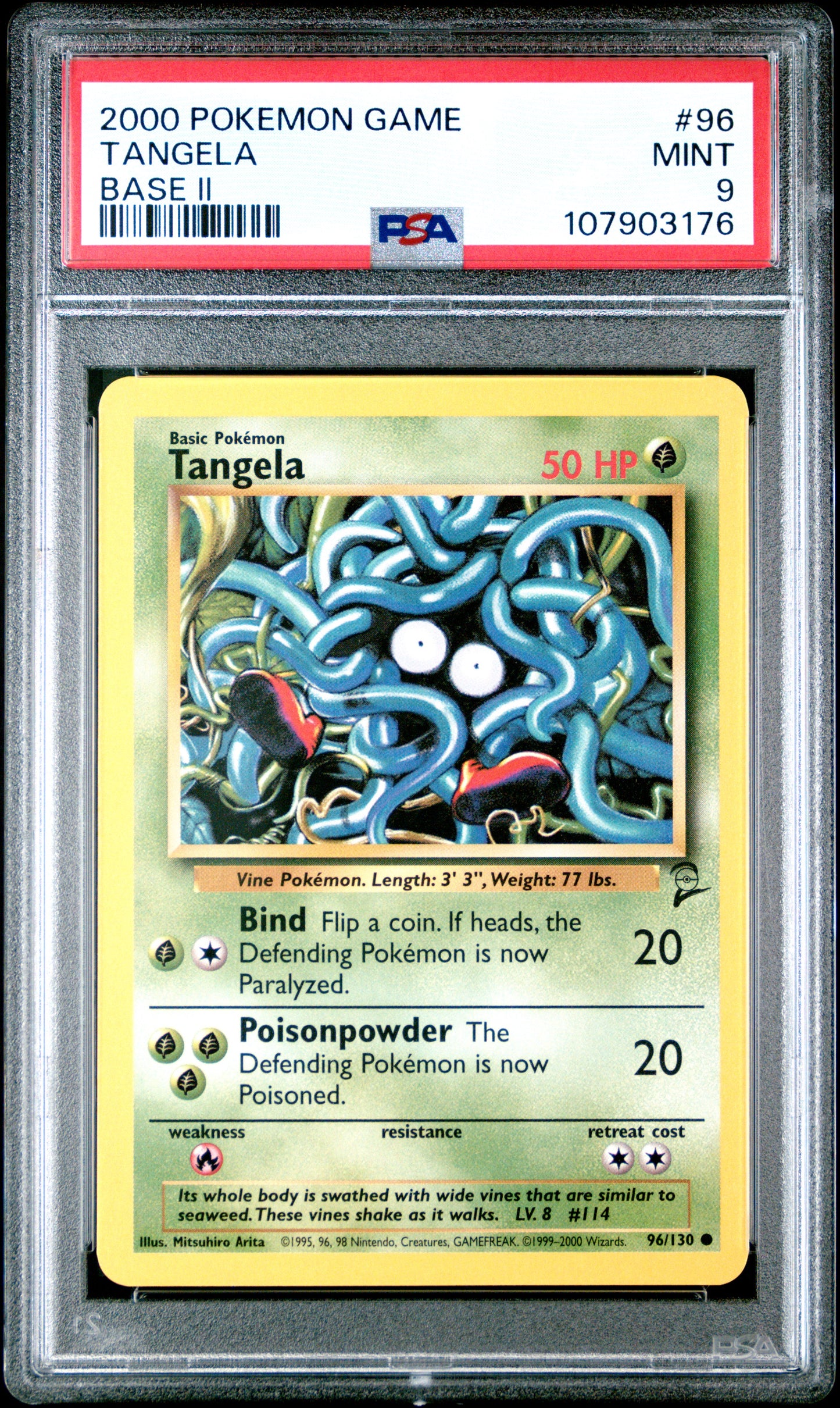 TANGELA