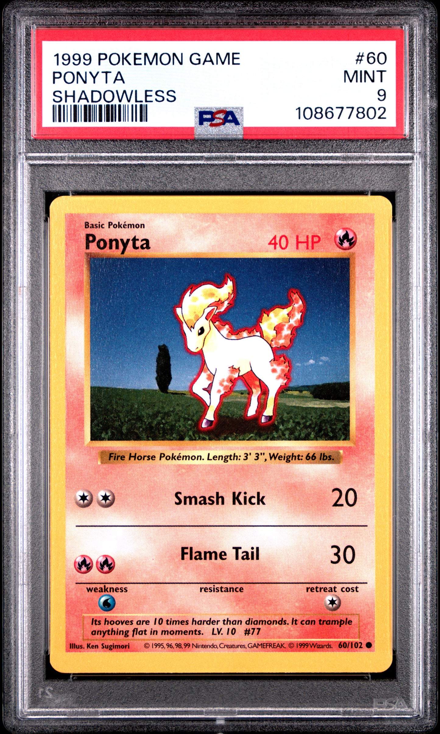 PONYTA