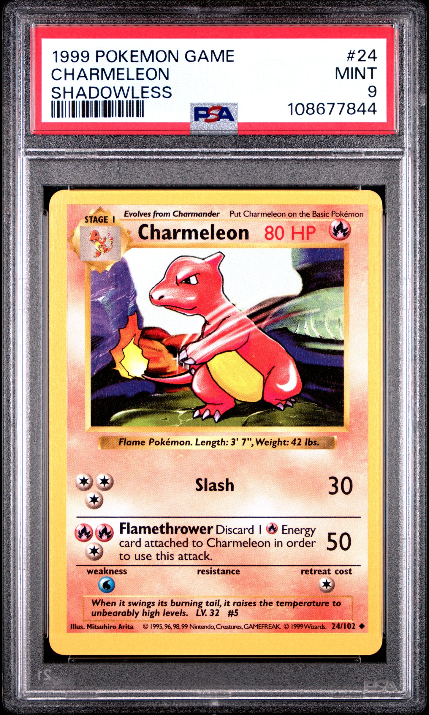 CHARMELEON