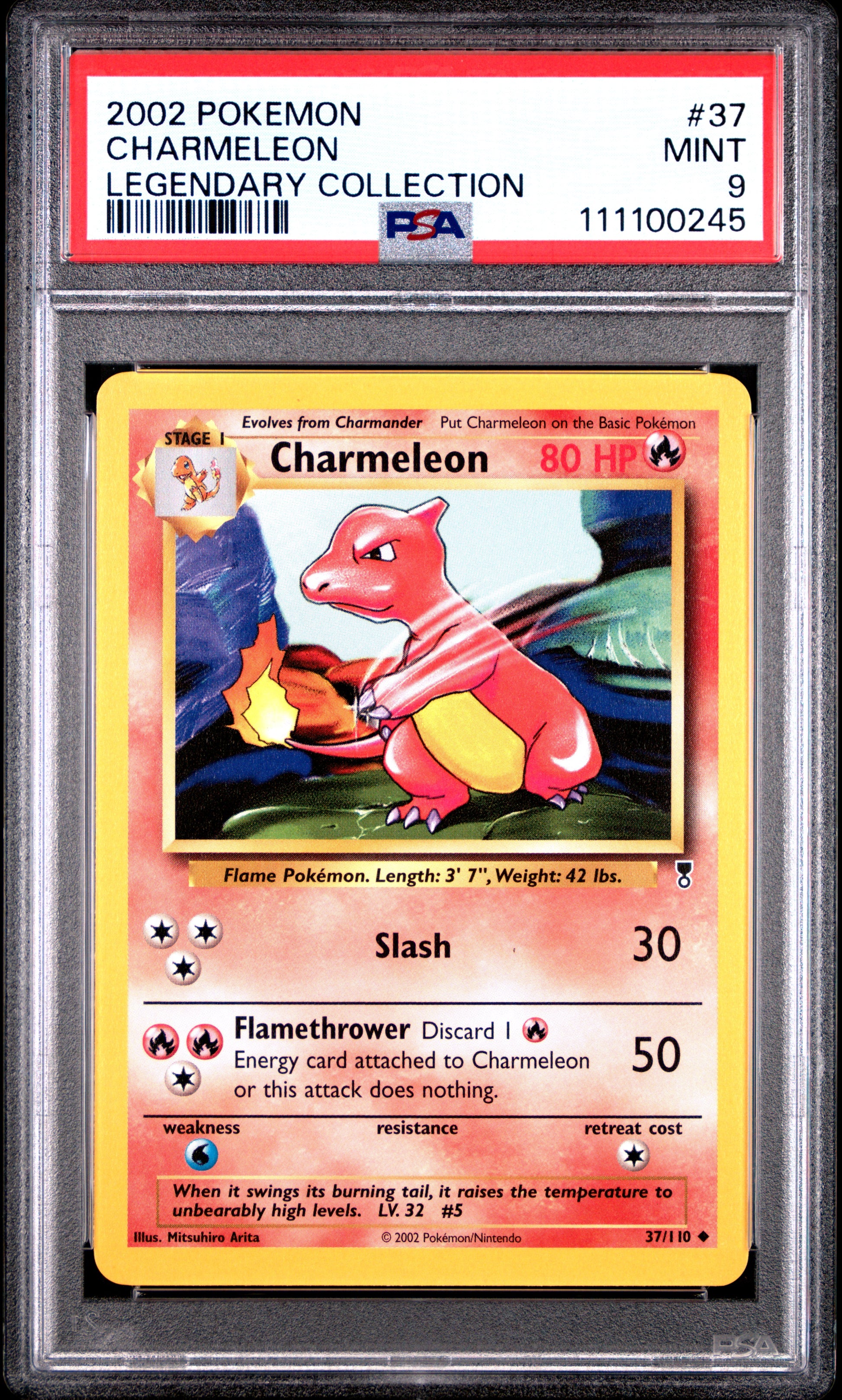 CHARMELEON