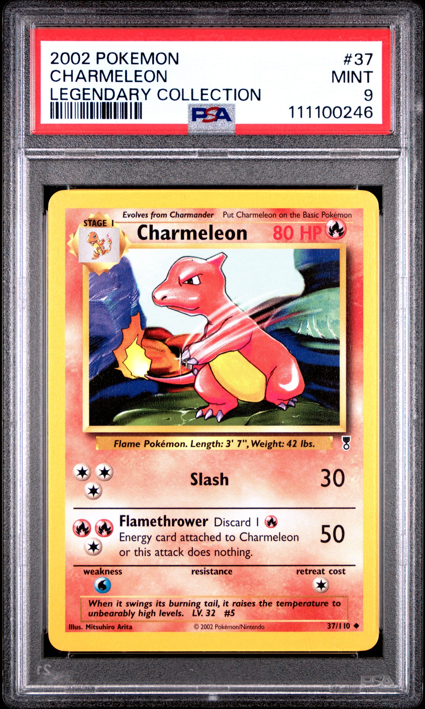 CHARMELEON