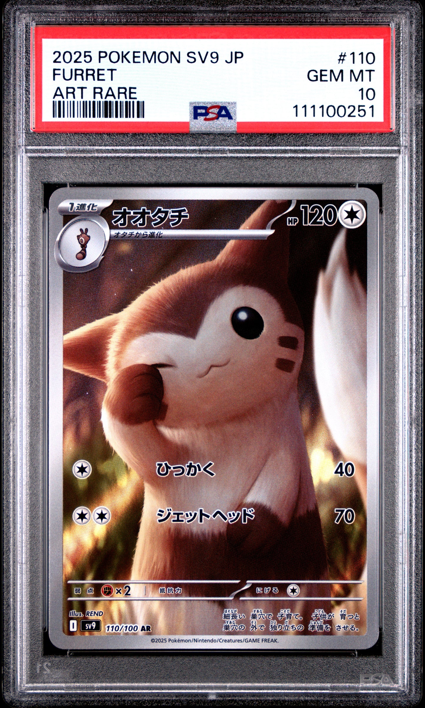 FURRET