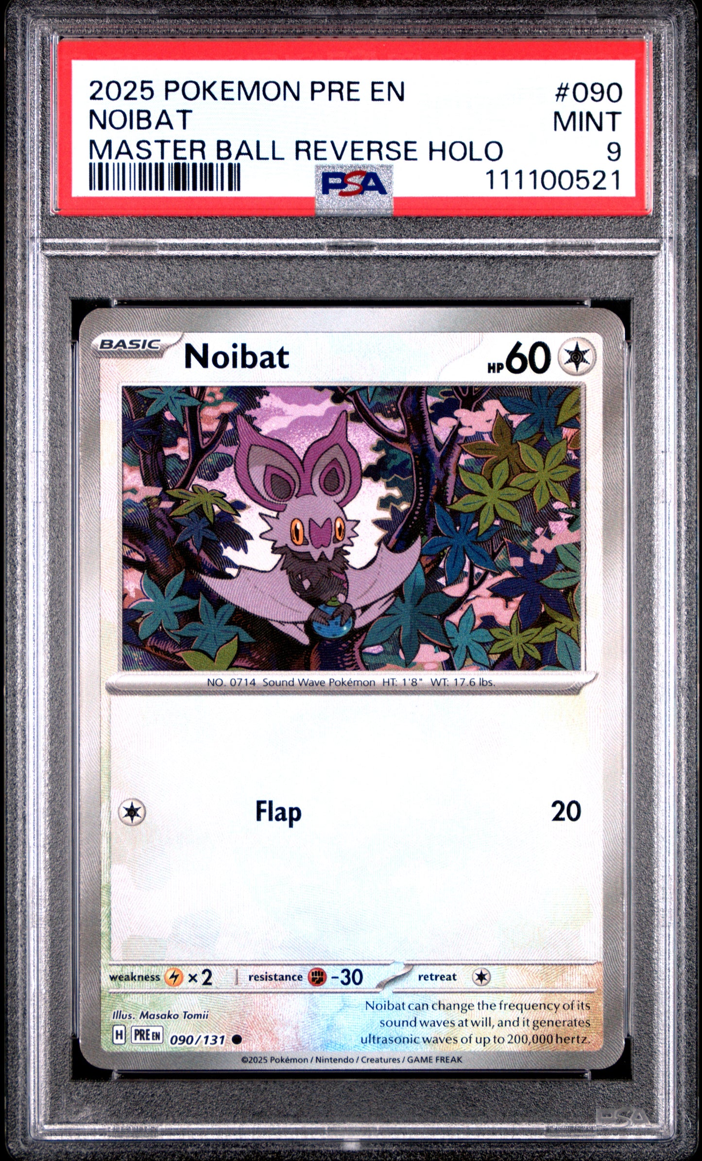 NOIBAT