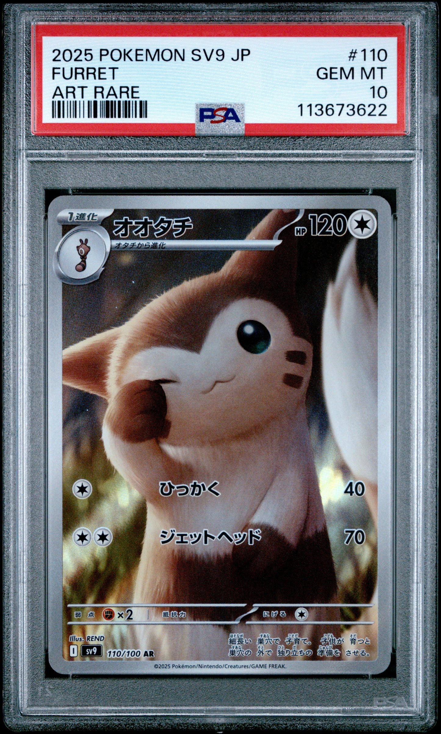 FURRET