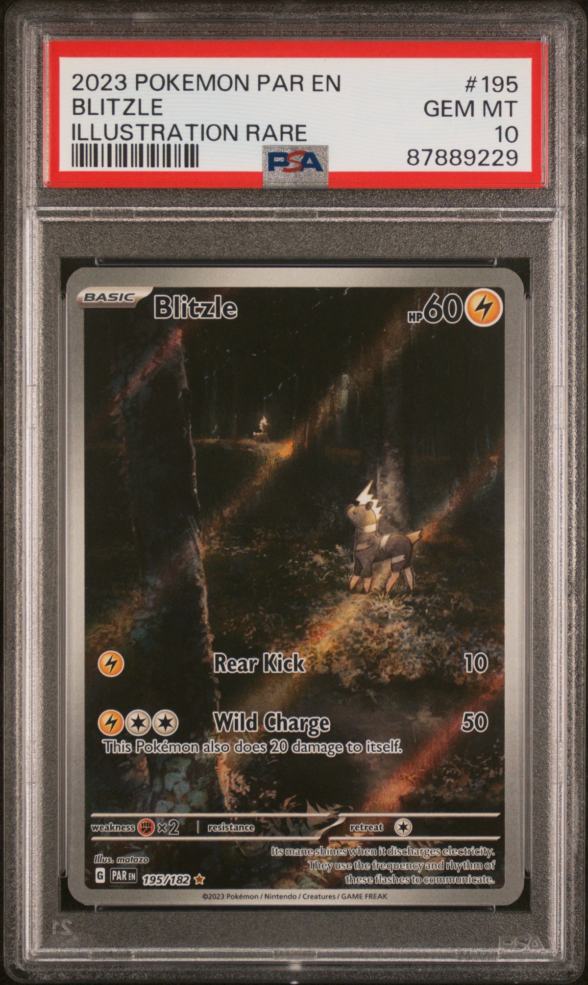 BLITZLE