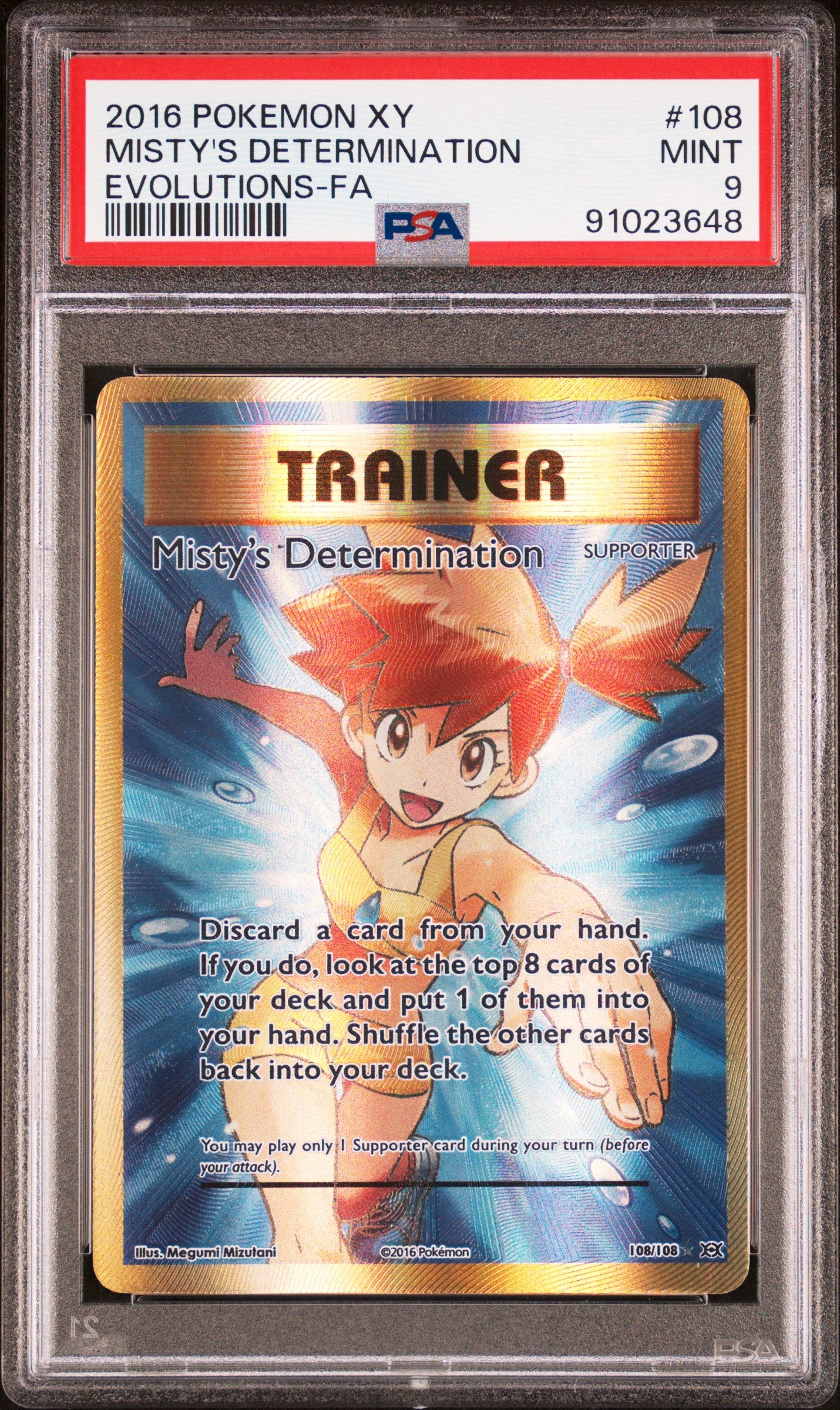 MISTY'S DETERMINATION