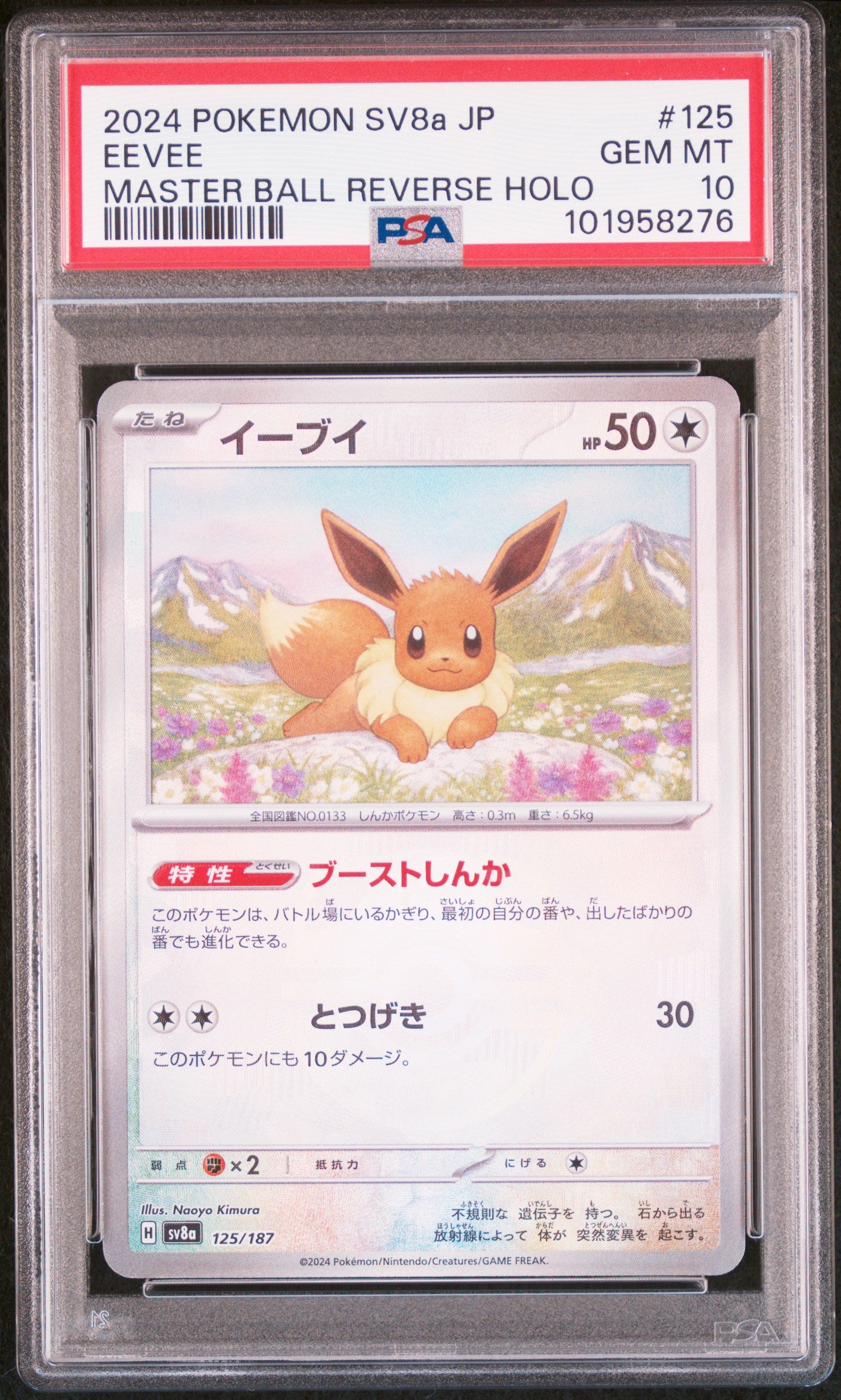 EEVEE