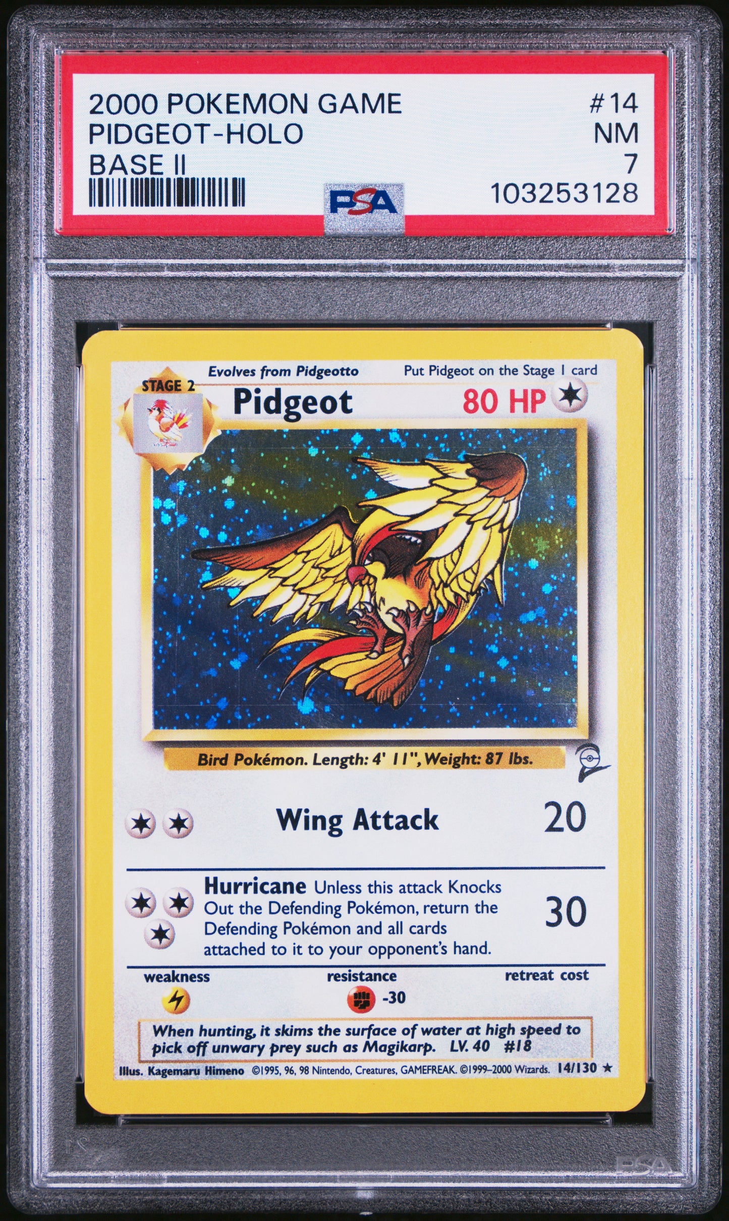 PIDGEOT-HOLO