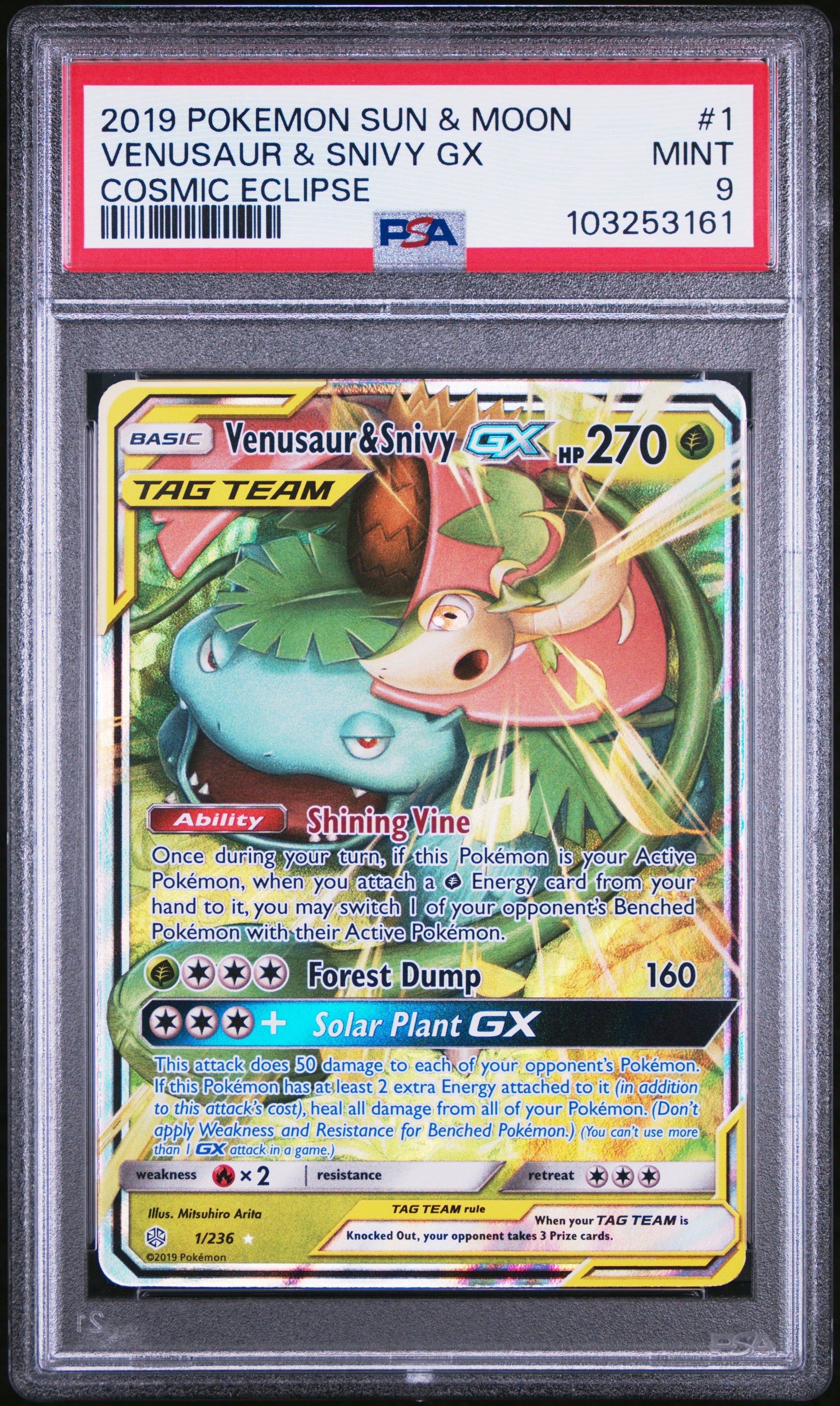 VENUSAUR & SNIVY GX