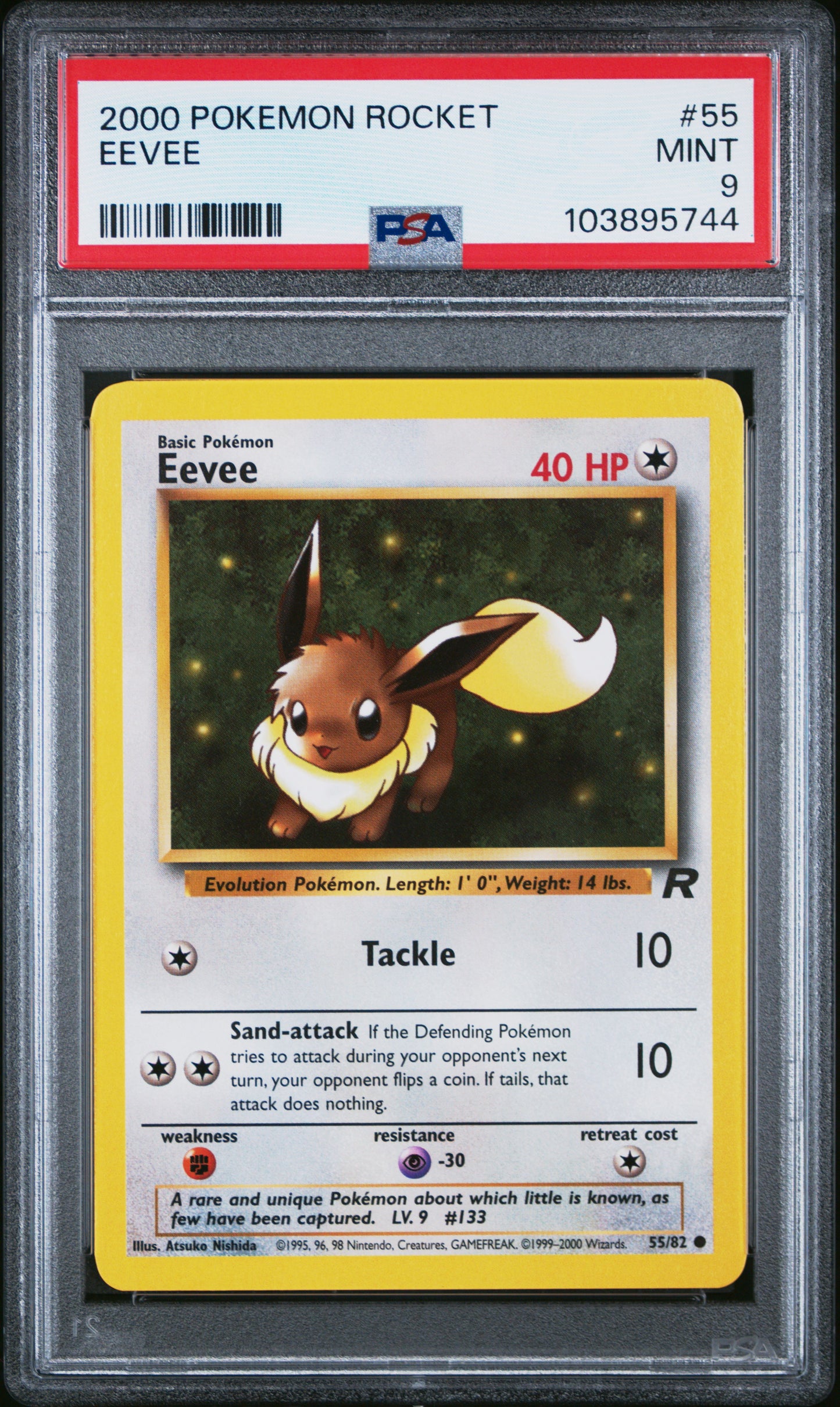 EEVEE