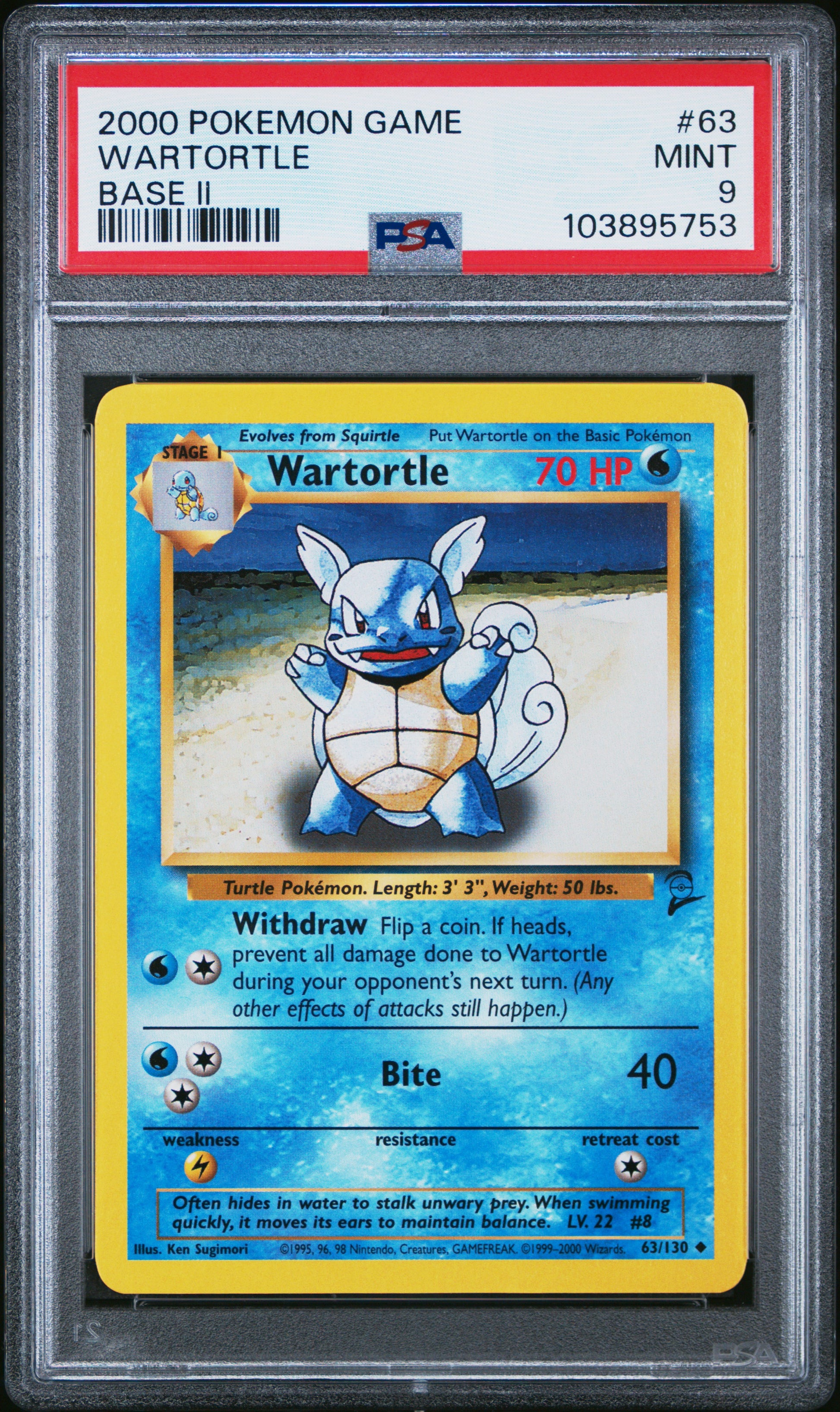 WARTORTLE