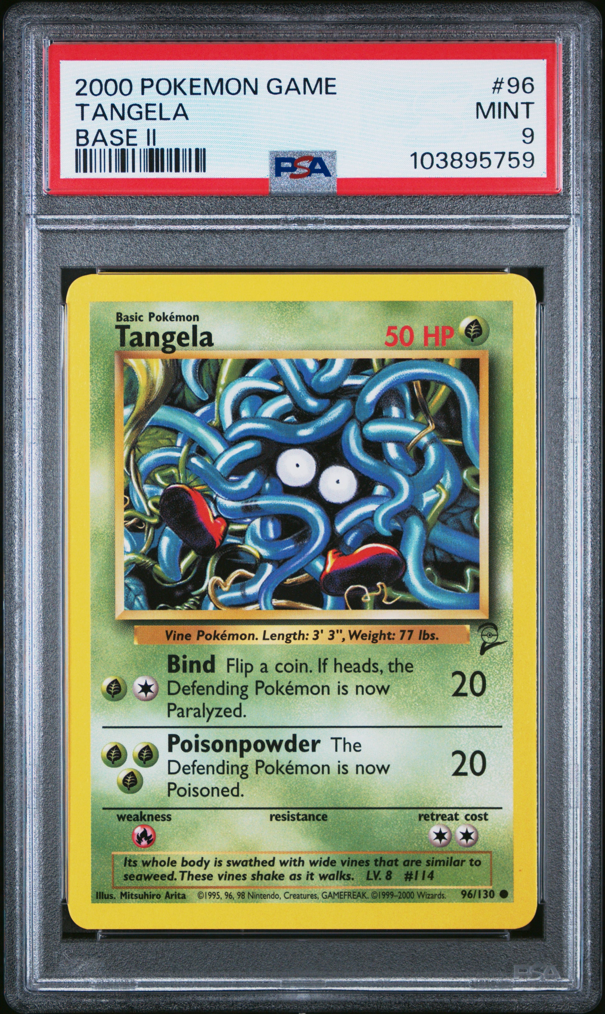 TANGELA