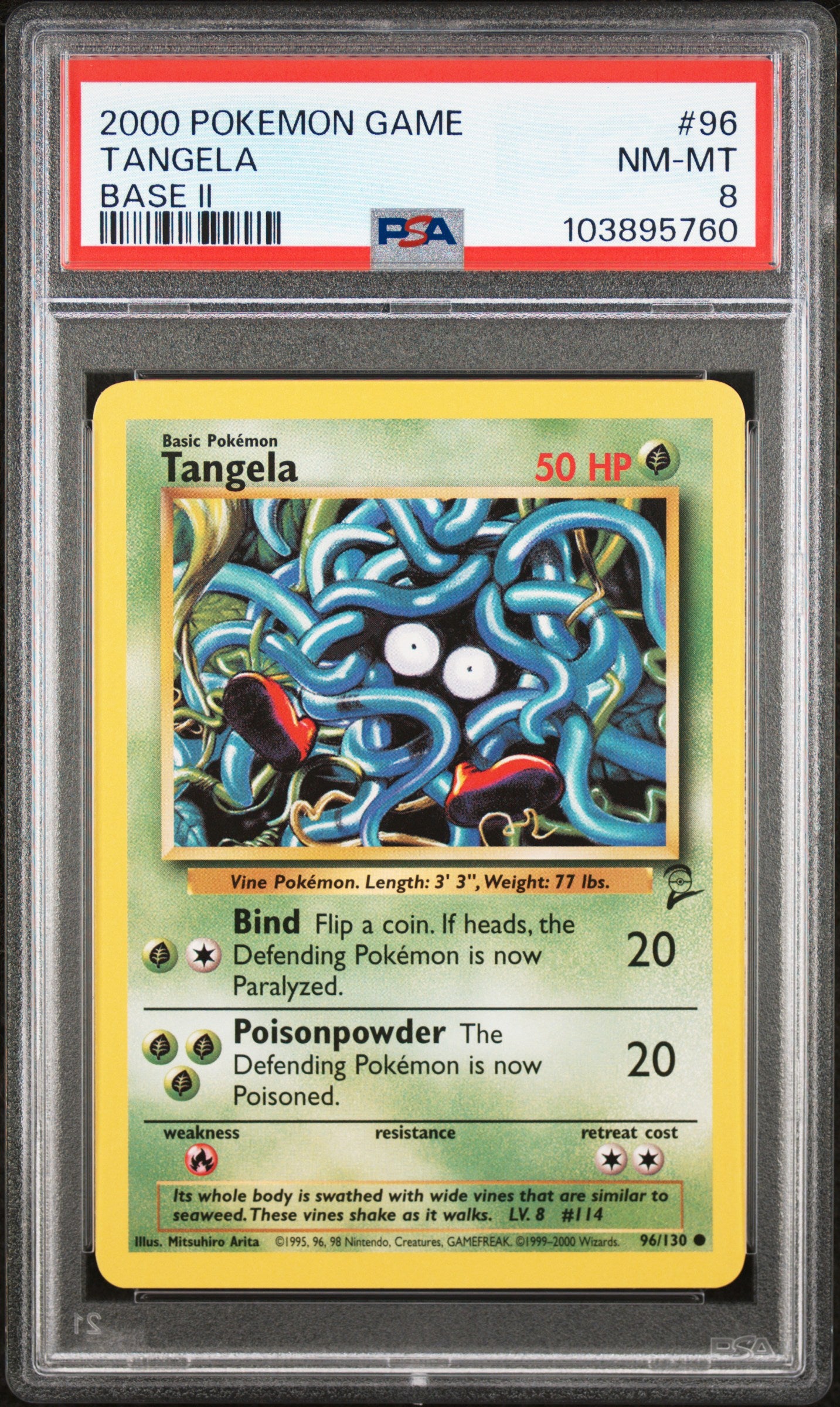 TANGELA