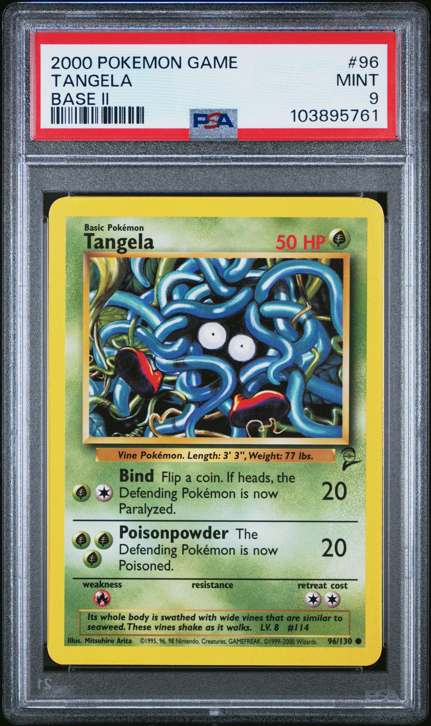 TANGELA