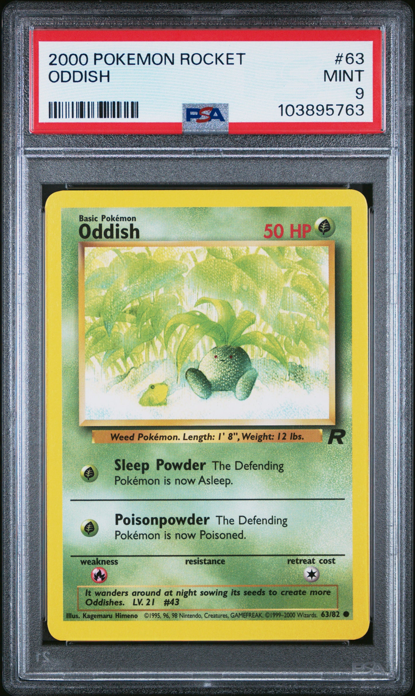 ODDISH