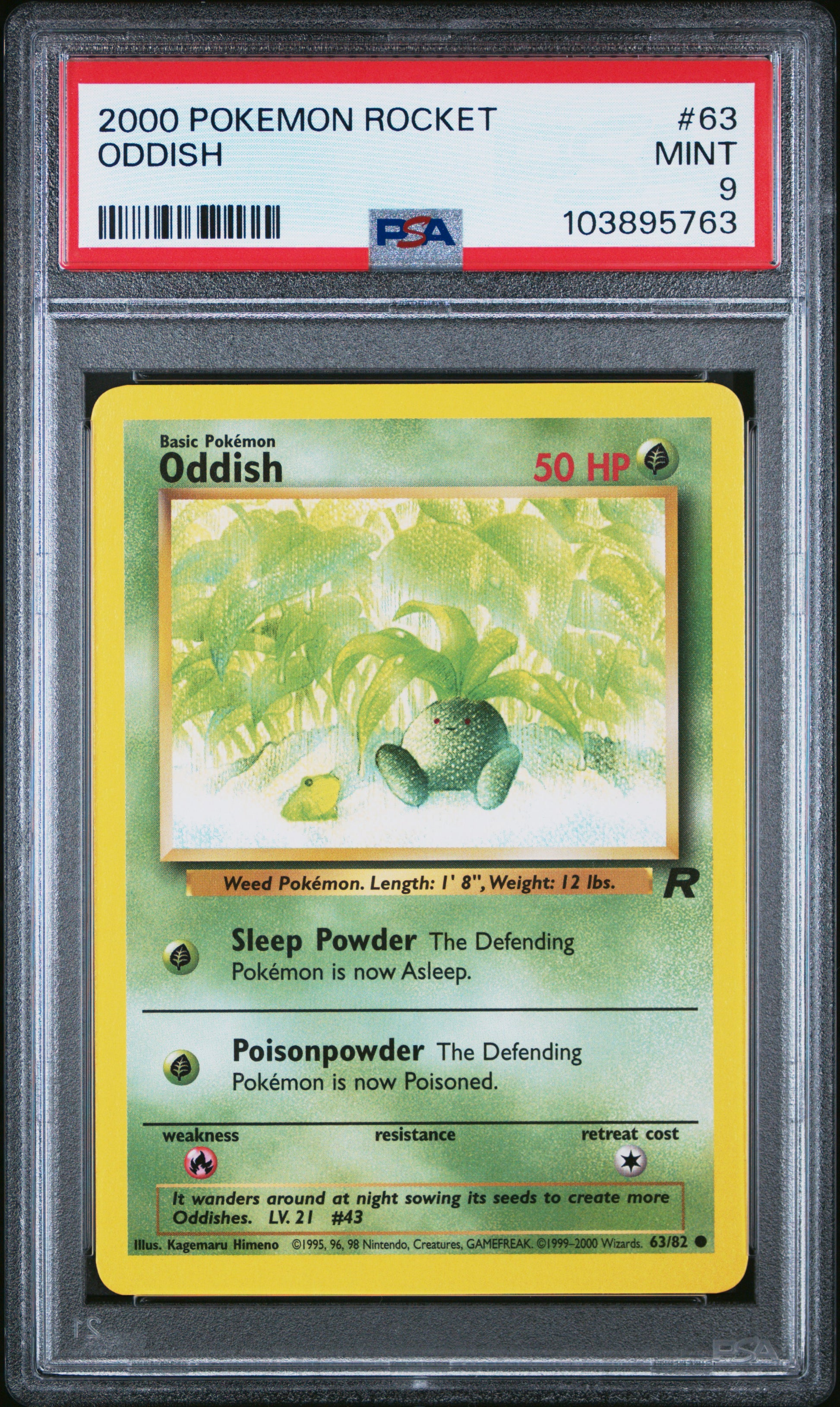ODDISH