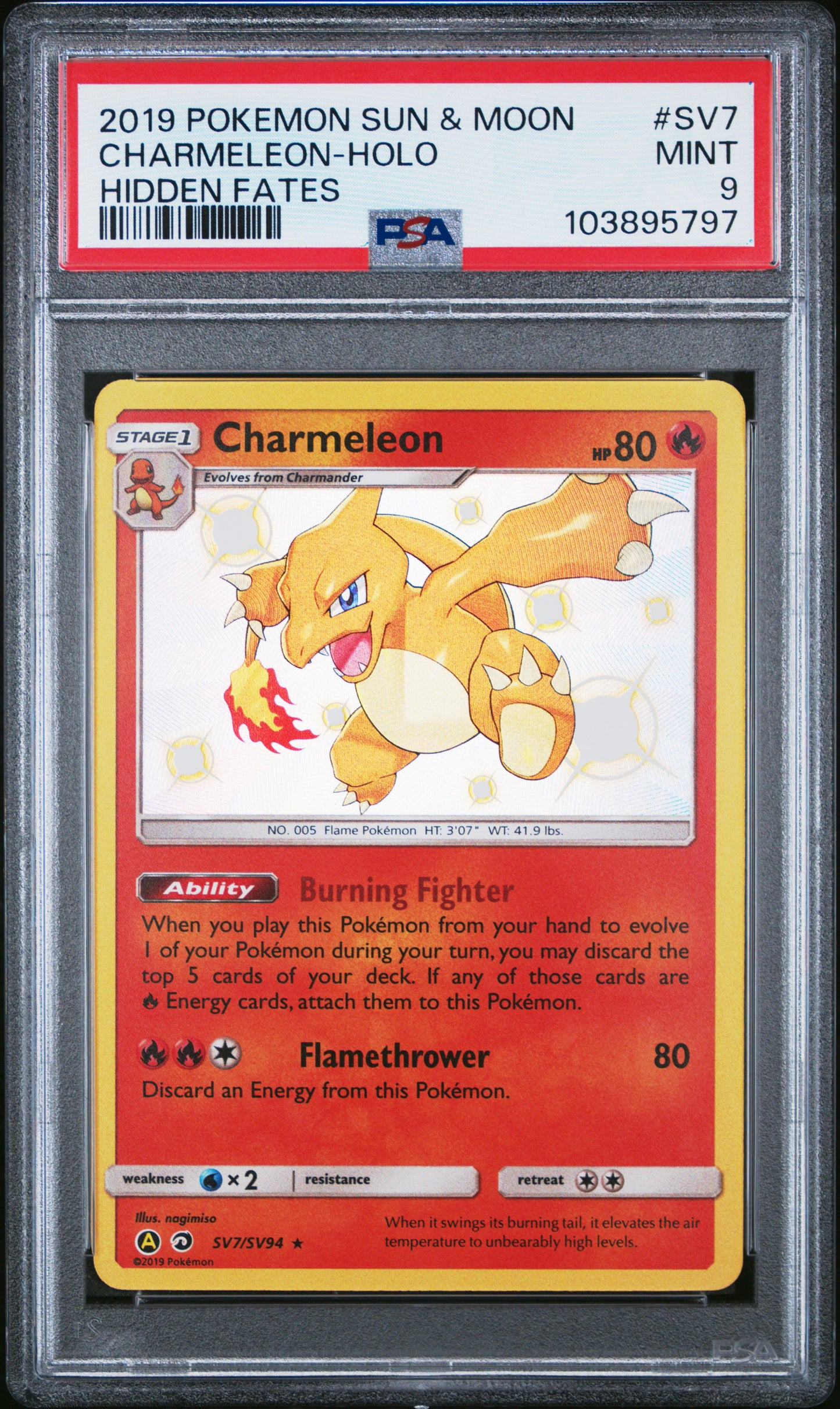CHARMELEON-HOLO