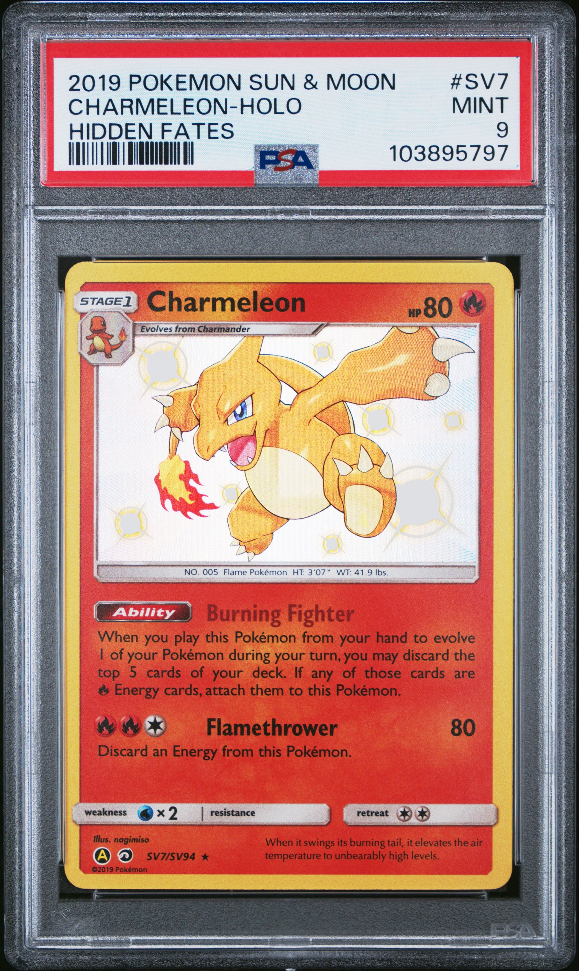 CHARMELEON-HOLO