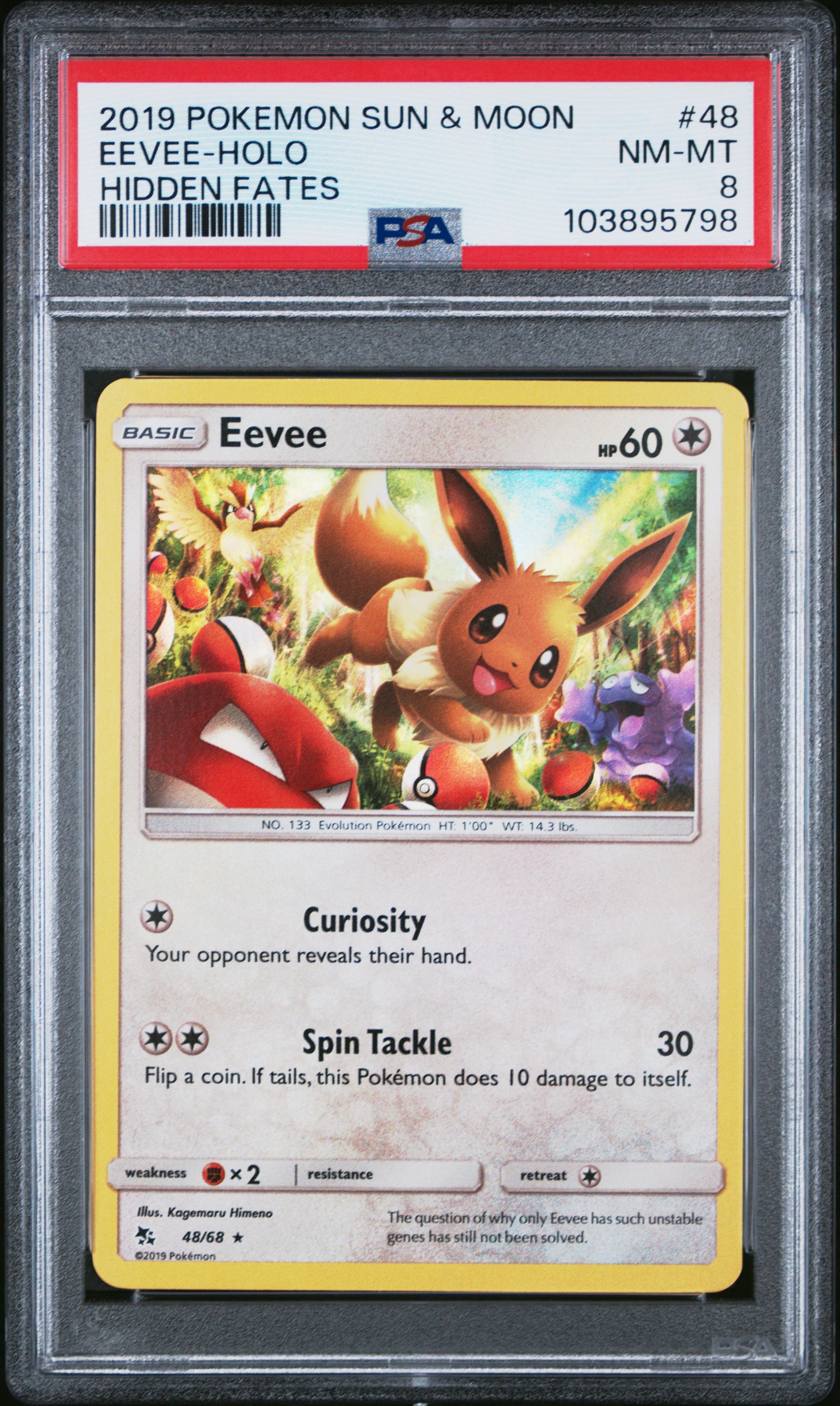 EEVEE-HOLO