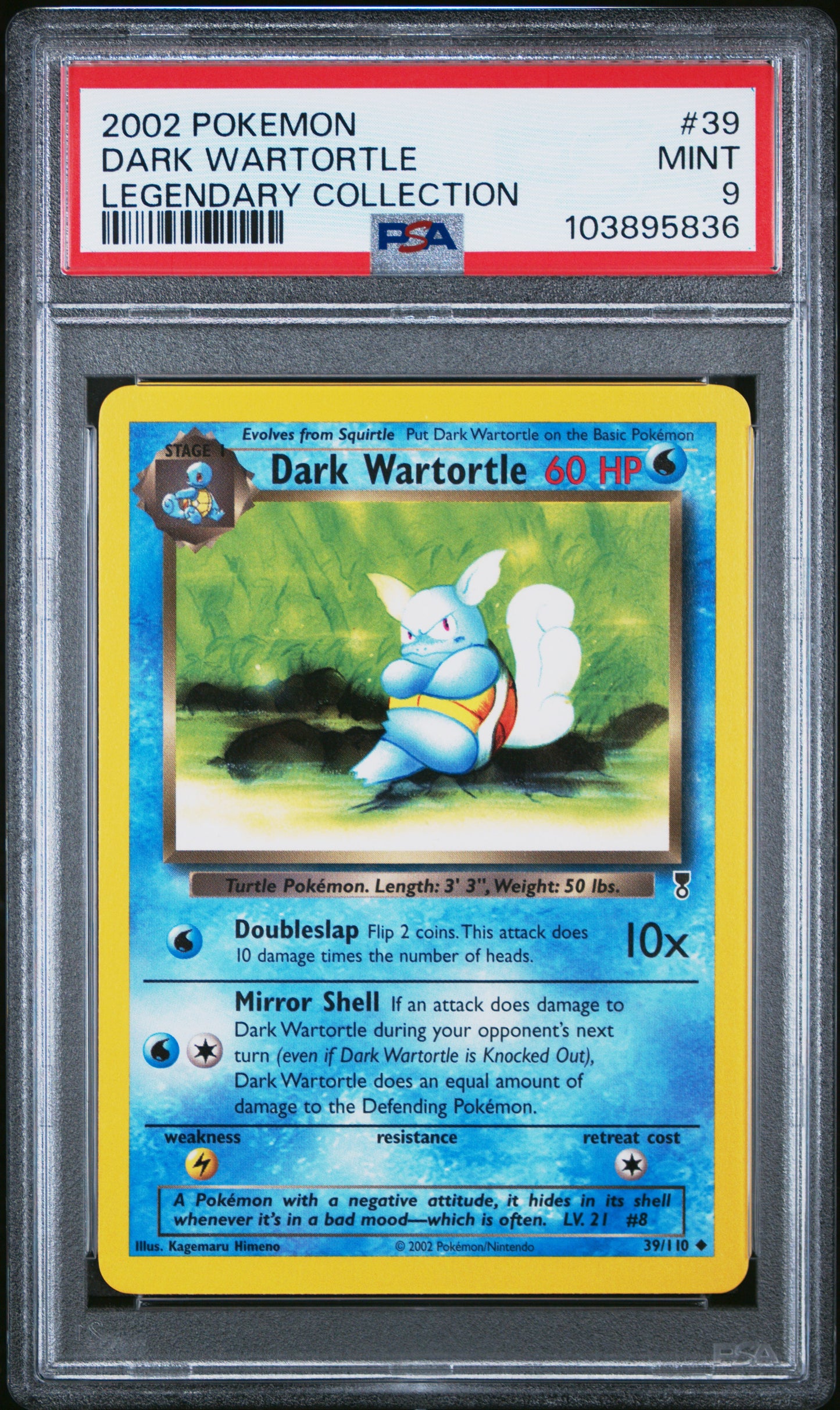 DARK WARTORTLE