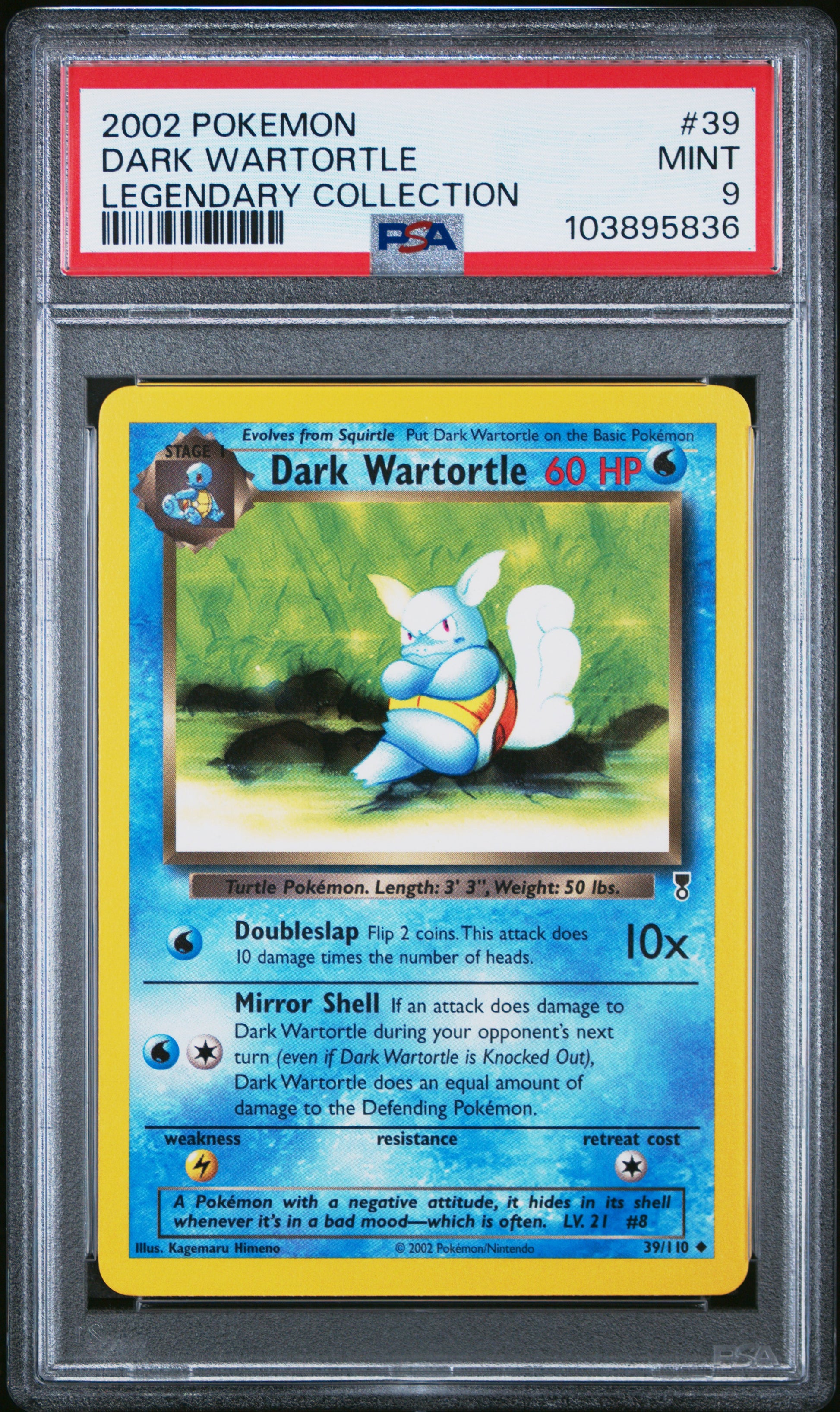 DARK WARTORTLE