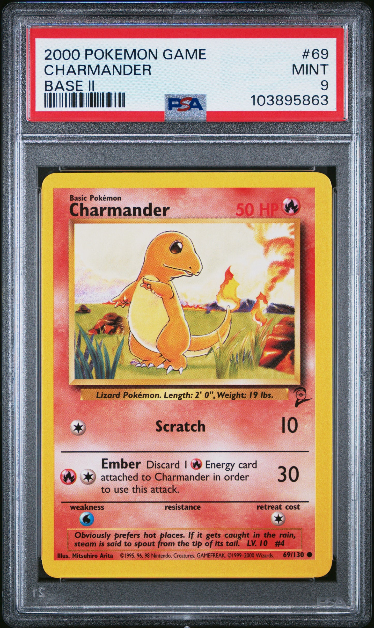 CHARMANDER