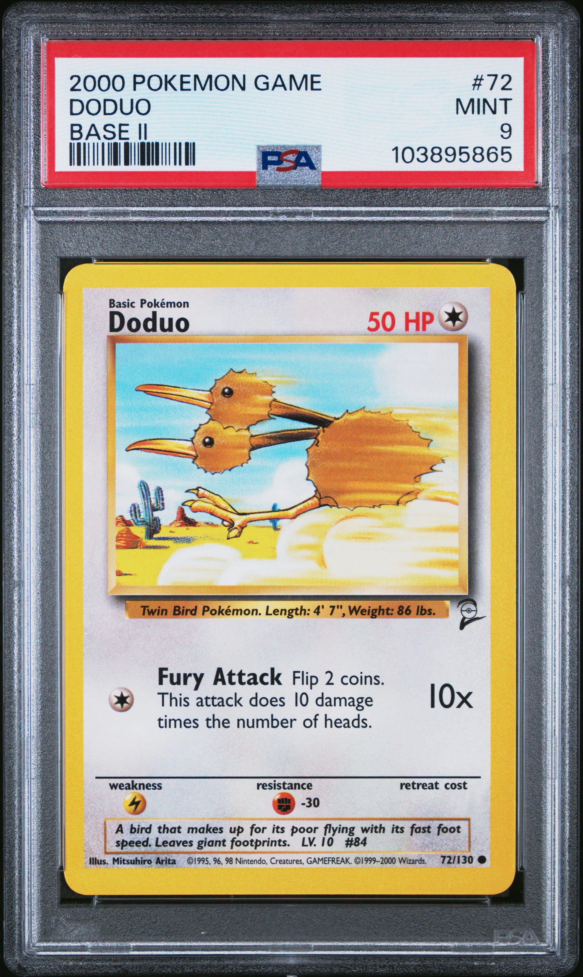 DODUO