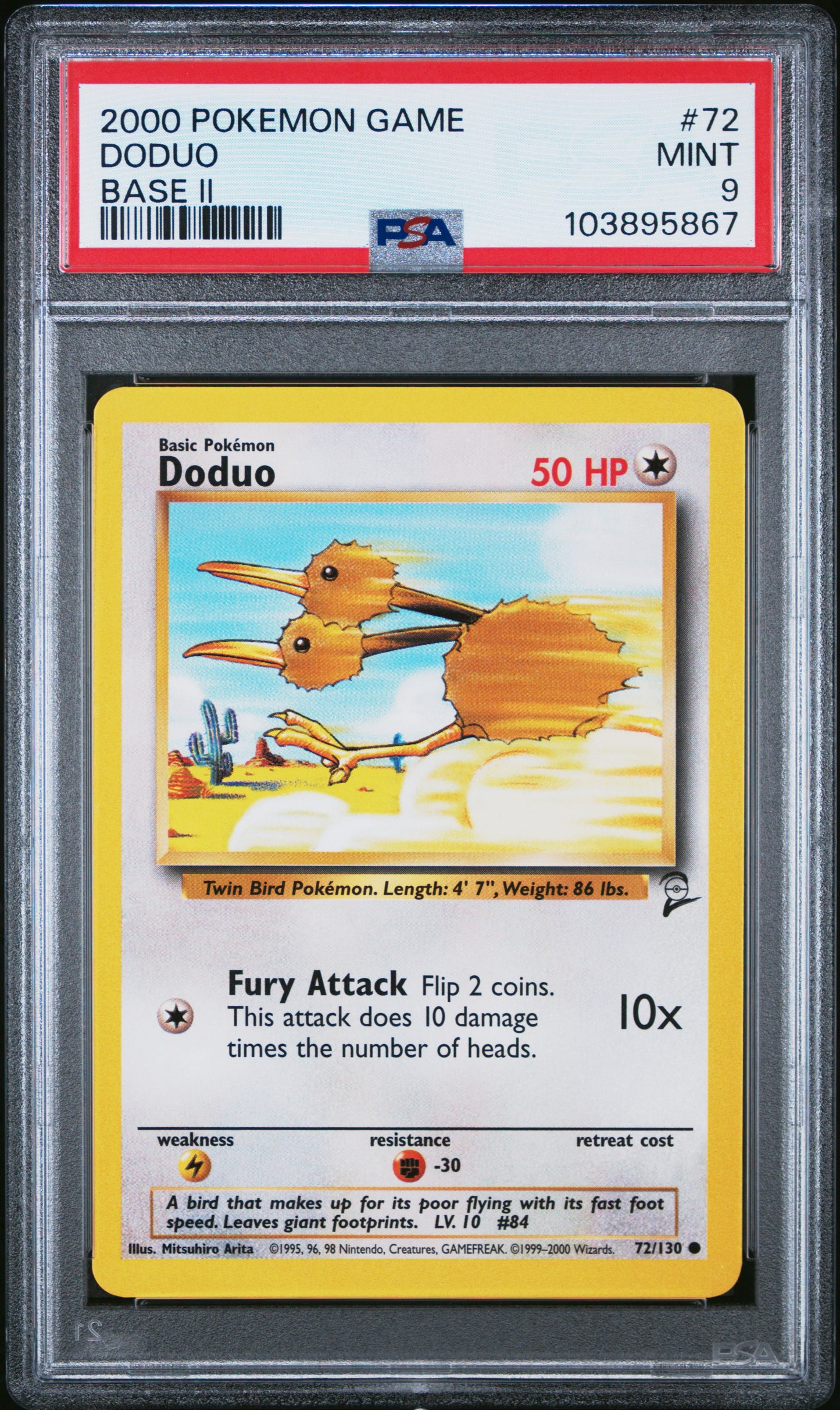 DODUO