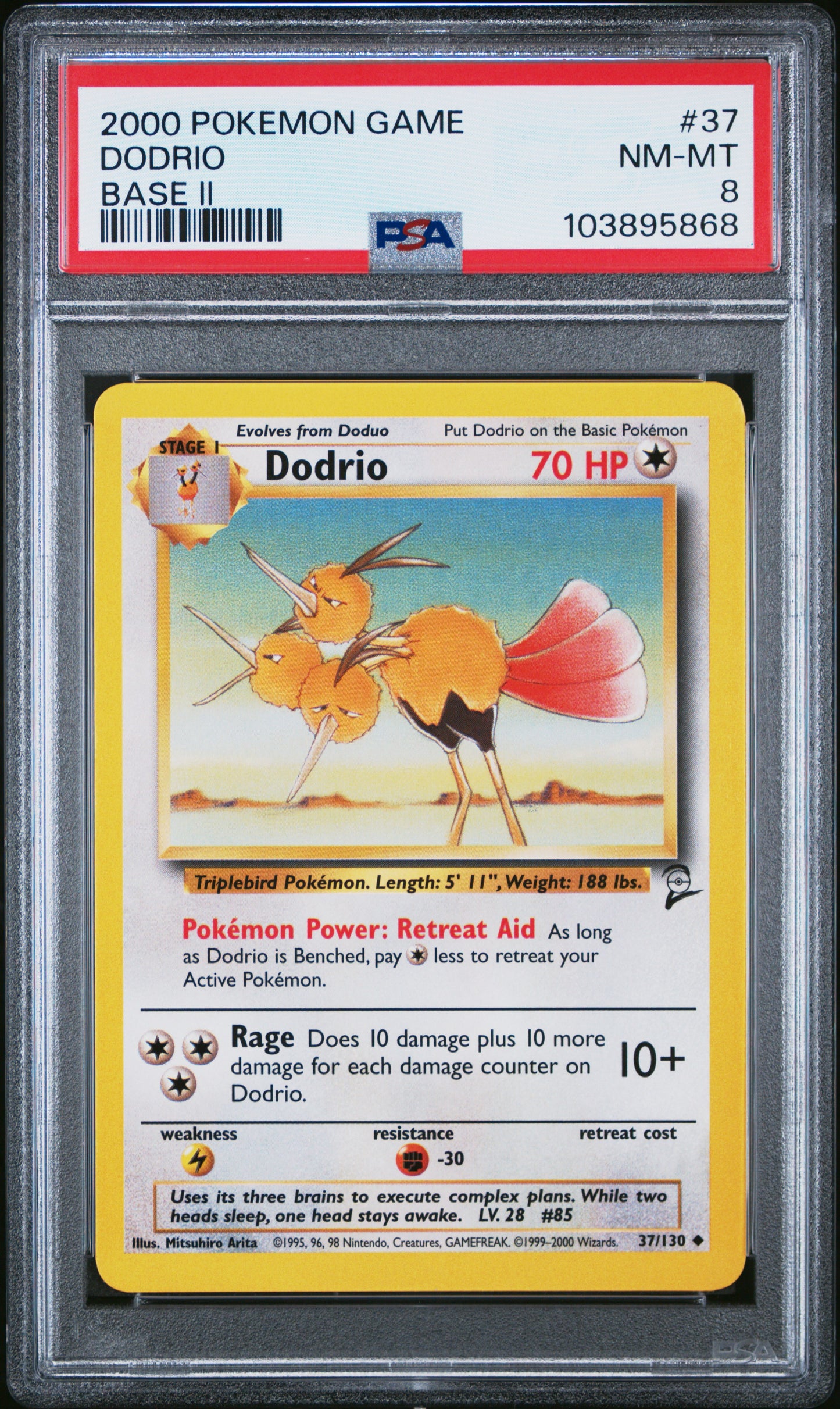 DODRIO