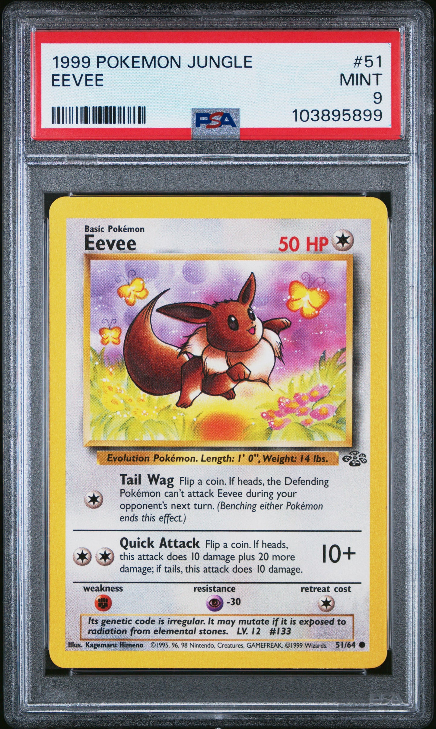 EEVEE