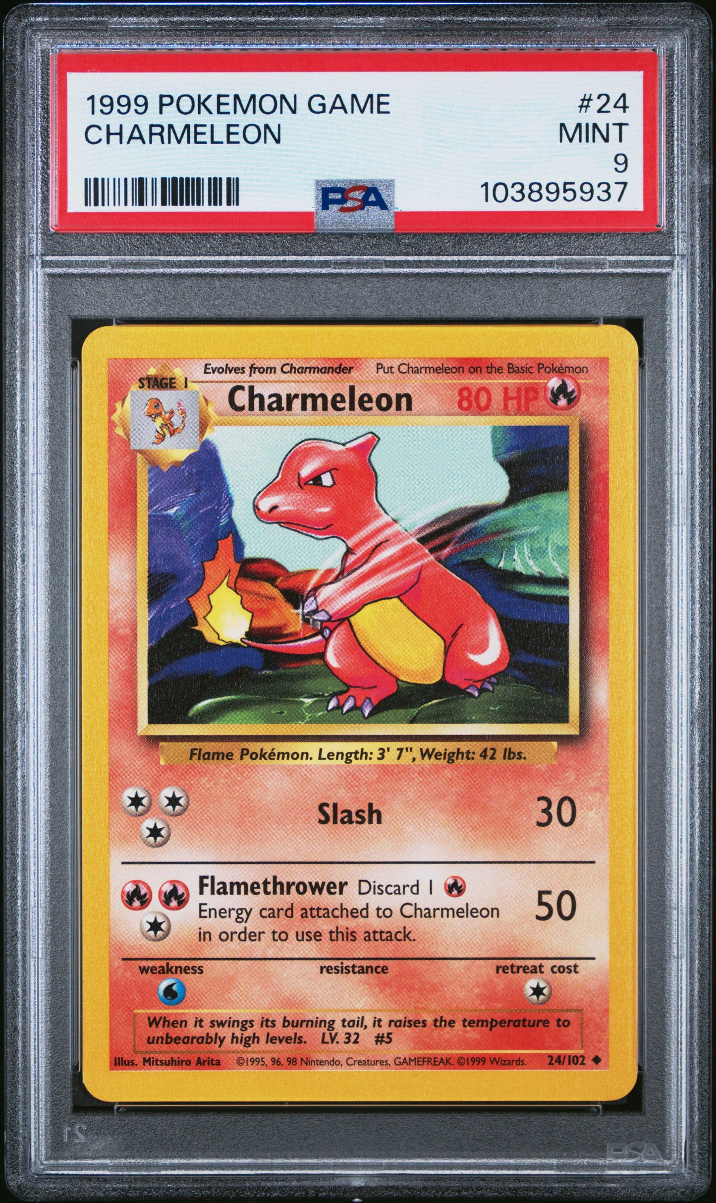 CHARMELEON