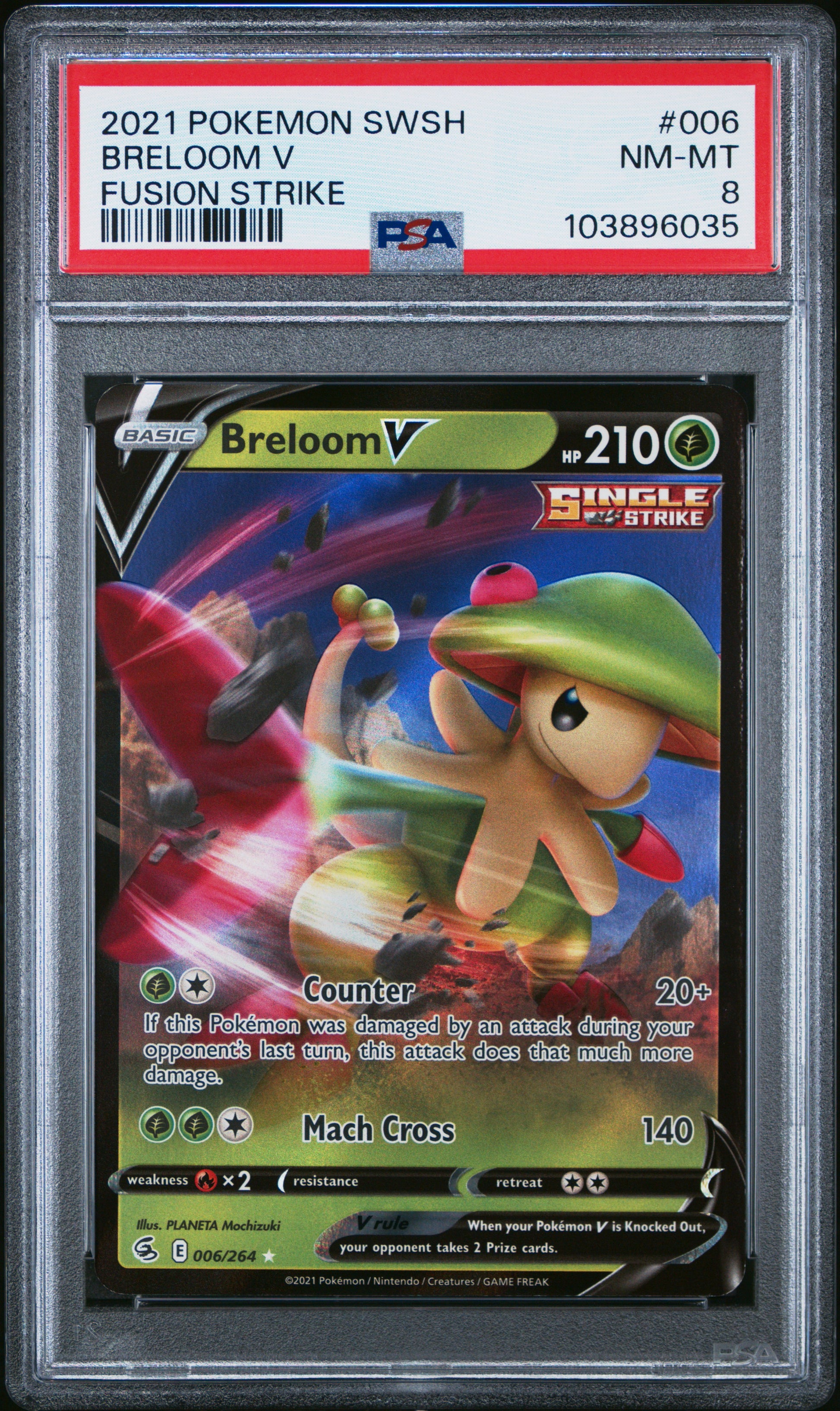 BRELOOM V