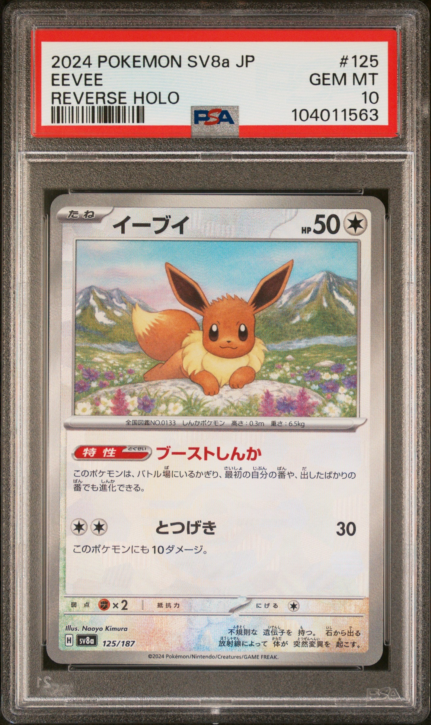 EEVEE