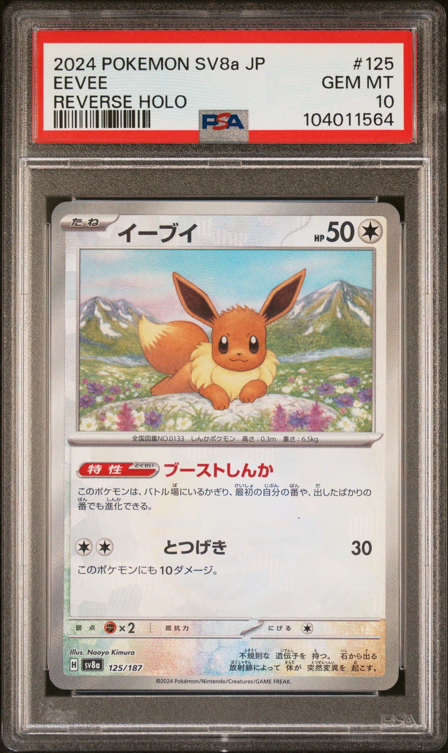 EEVEE