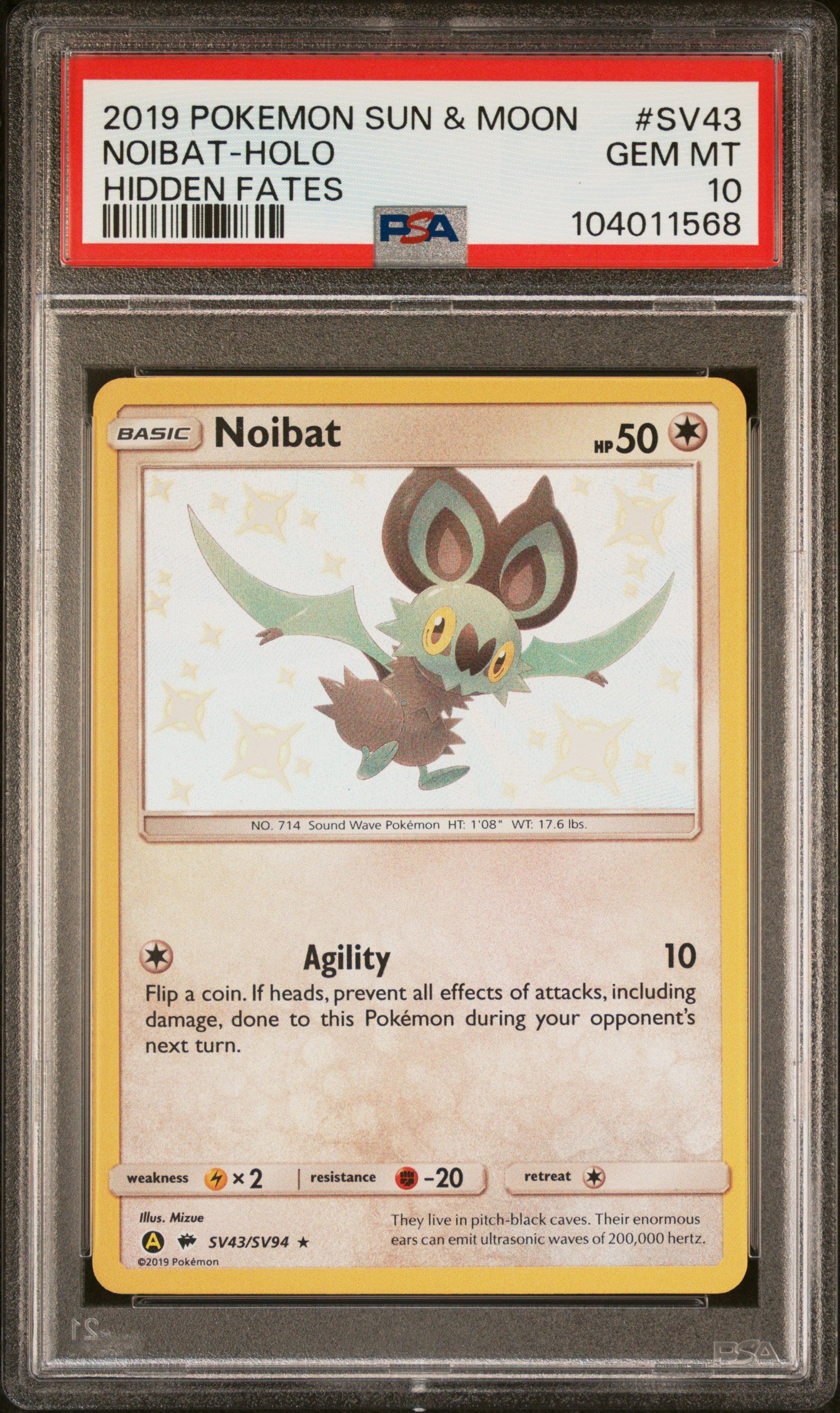 NOIBAT-HOLO
