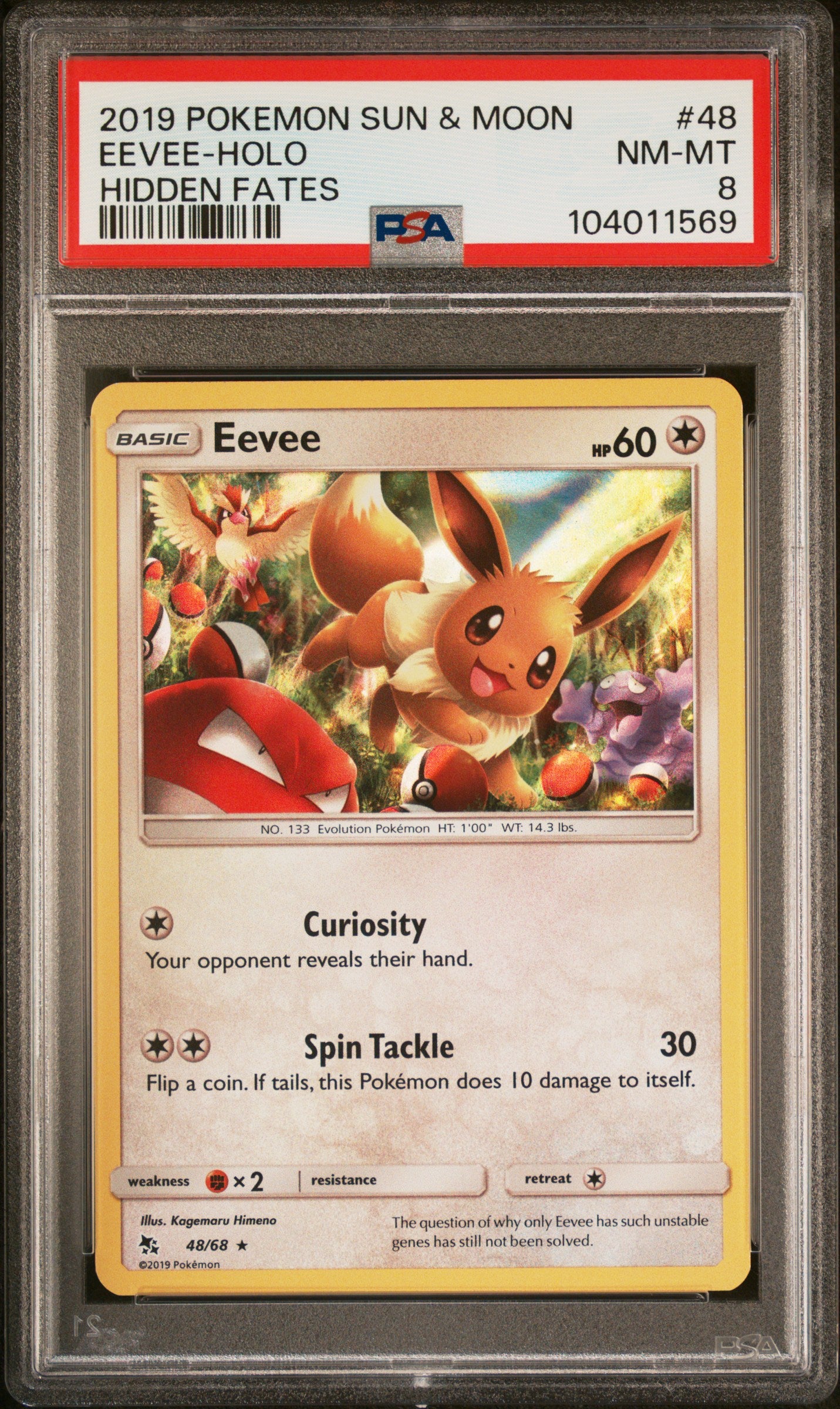 EEVEE-HOLO