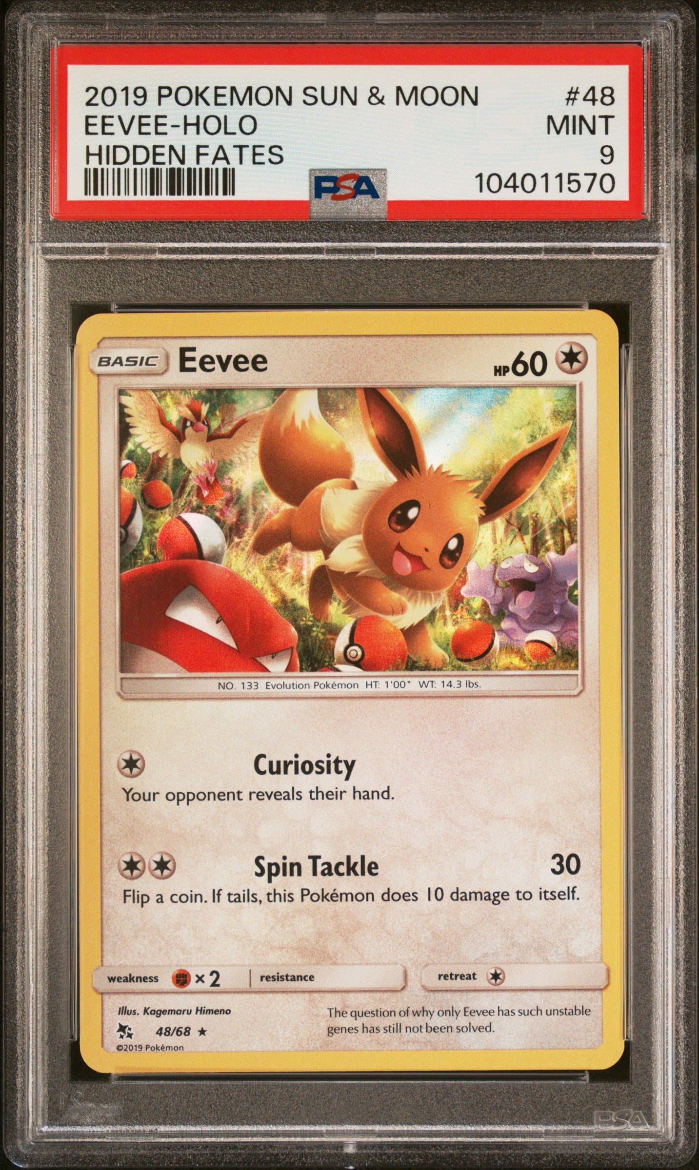 EEVEE-HOLO