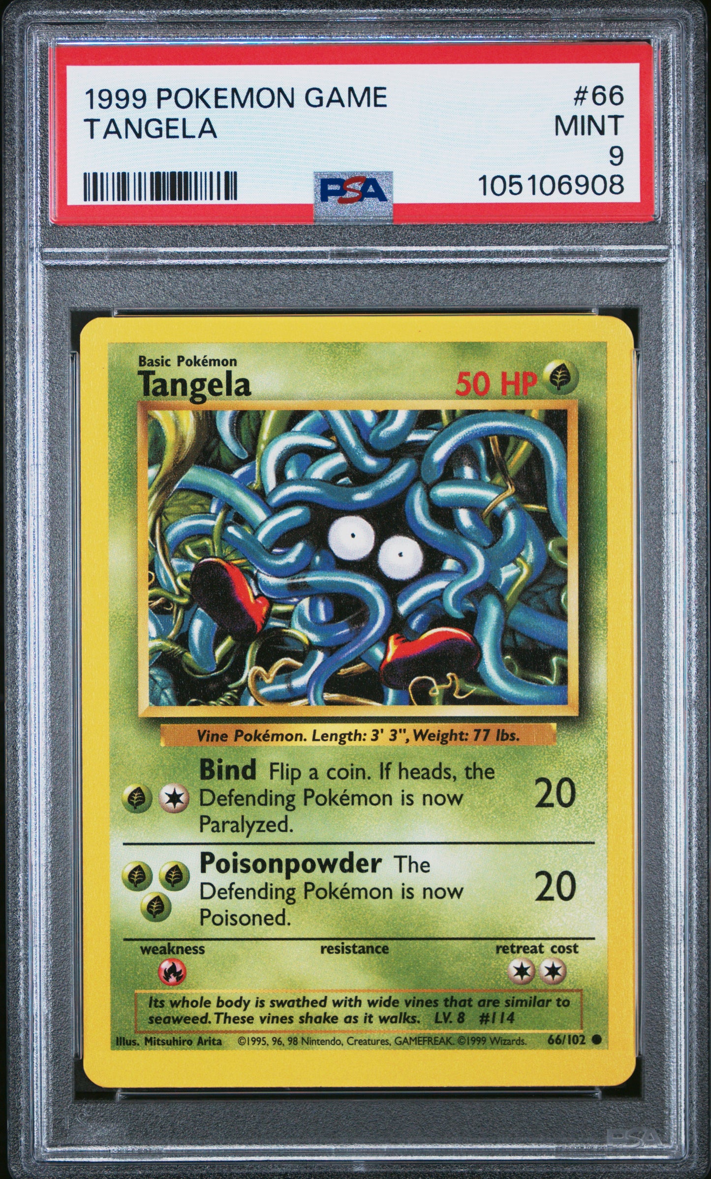 TANGELA