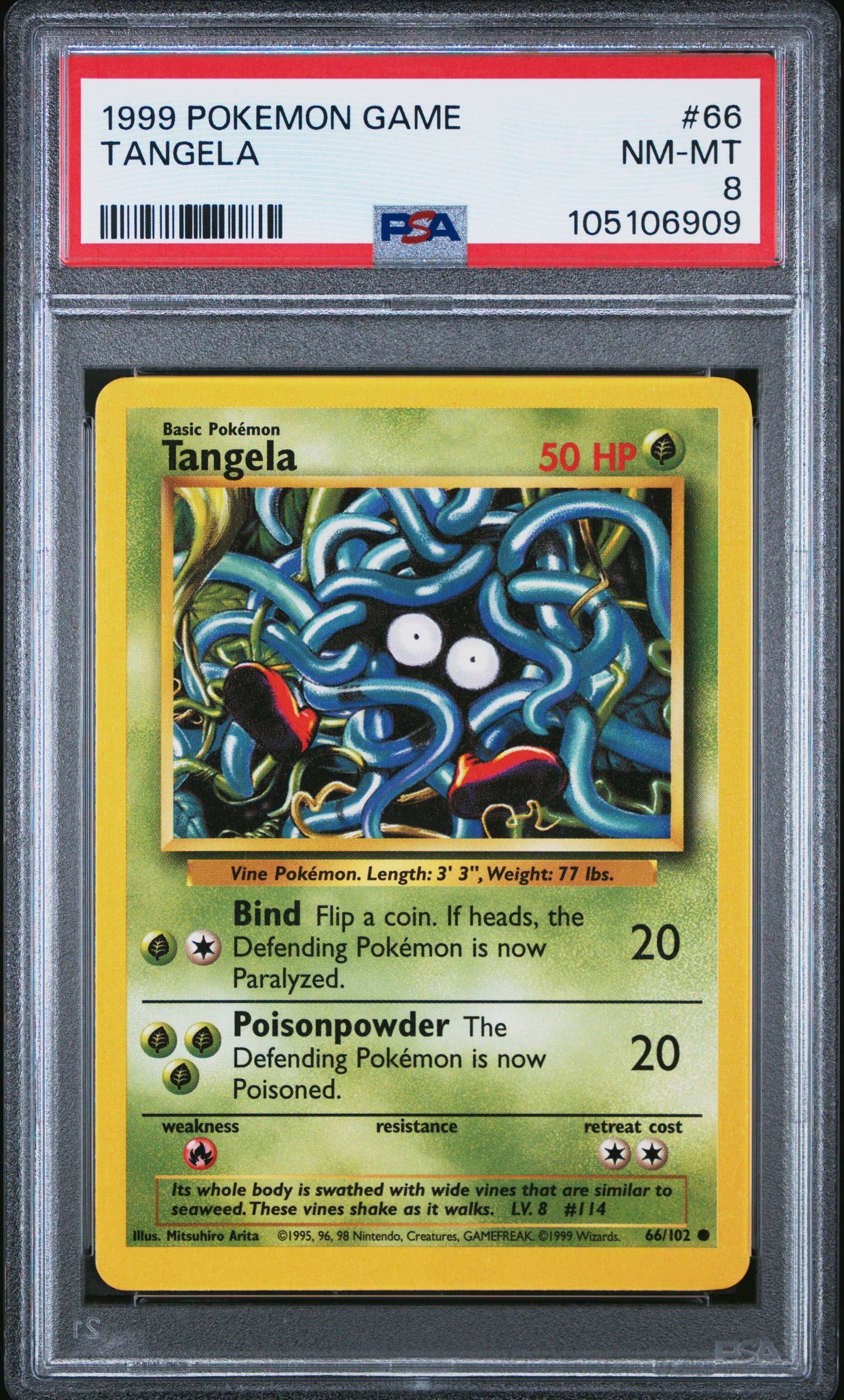TANGELA