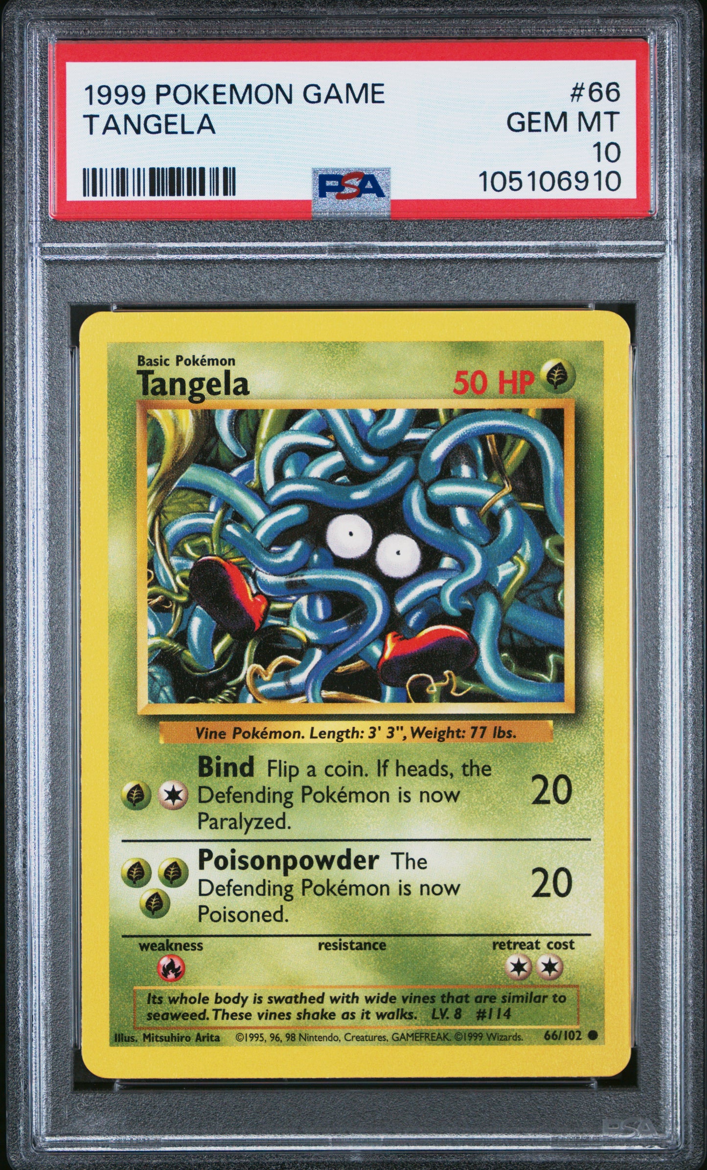 TANGELA