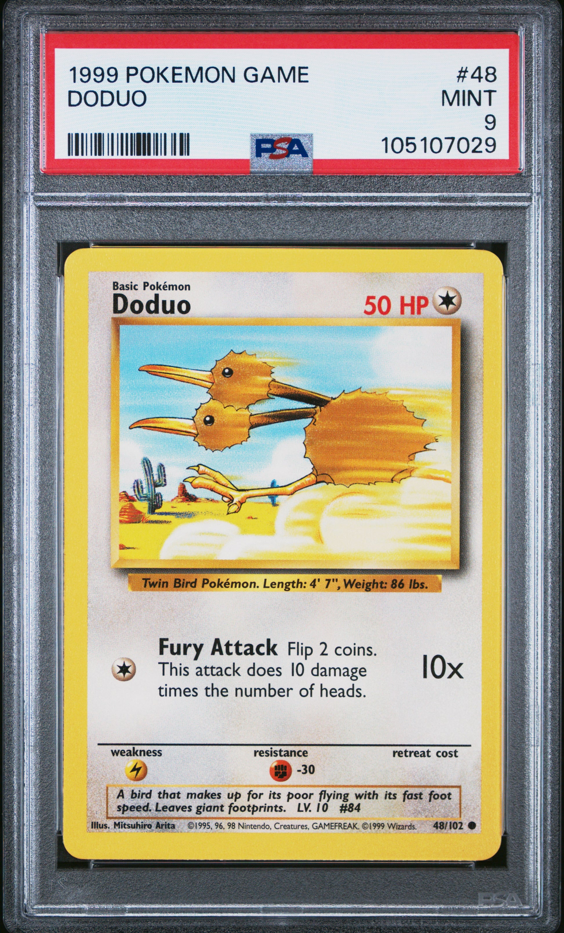 DODUO
