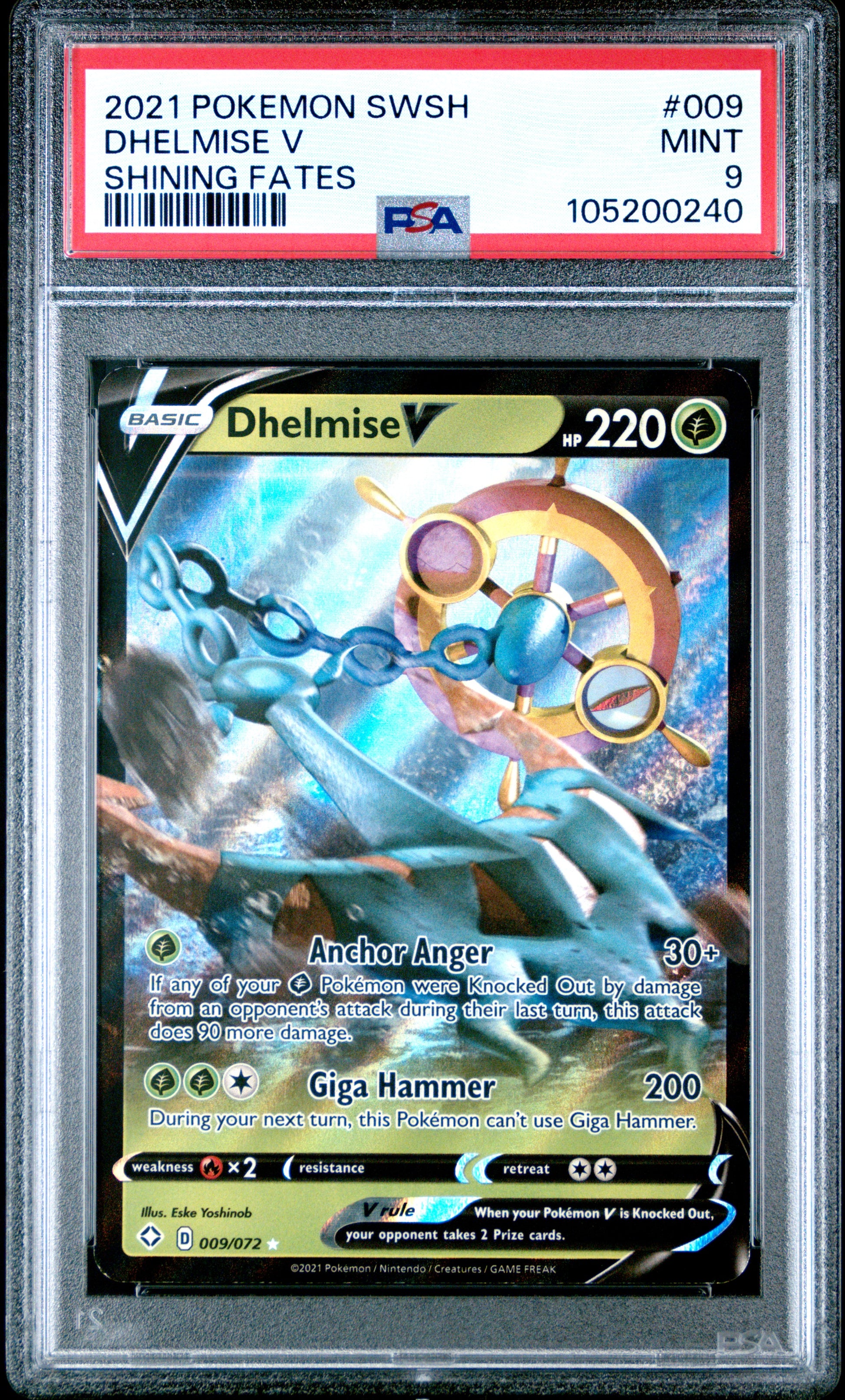 DHELMISE V